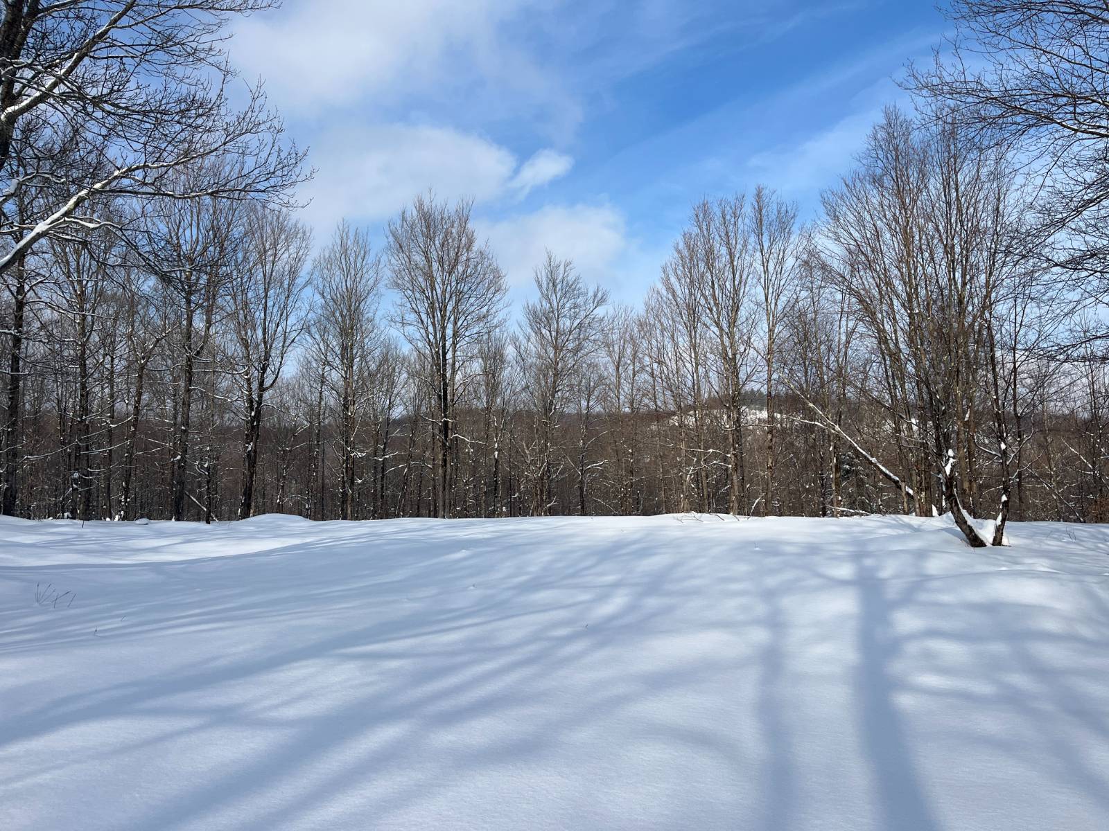 #19 photo, 00 Coffin Mills Rd, Oswegatchie , NY 13670