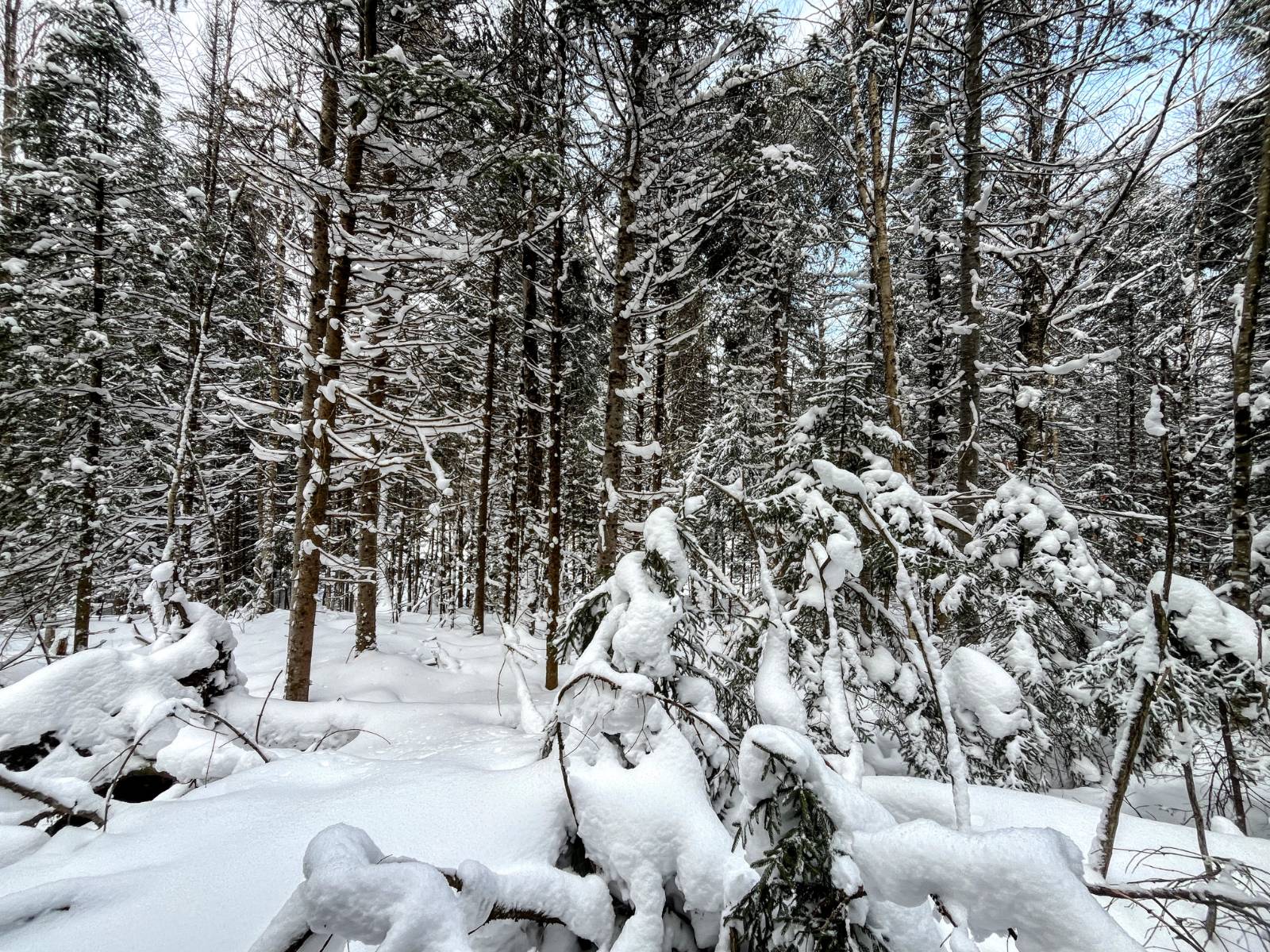 #22 photo, 00 Coffin Mills Rd, Oswegatchie , NY 13670