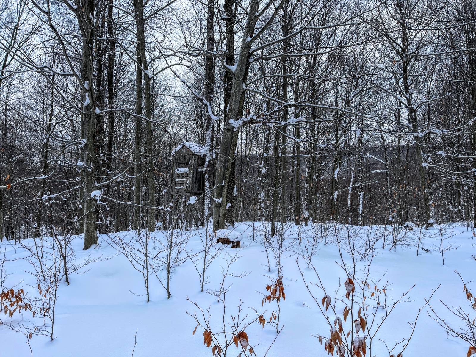 #27 photo, 00 Coffin Mills Rd, Oswegatchie , NY 13670