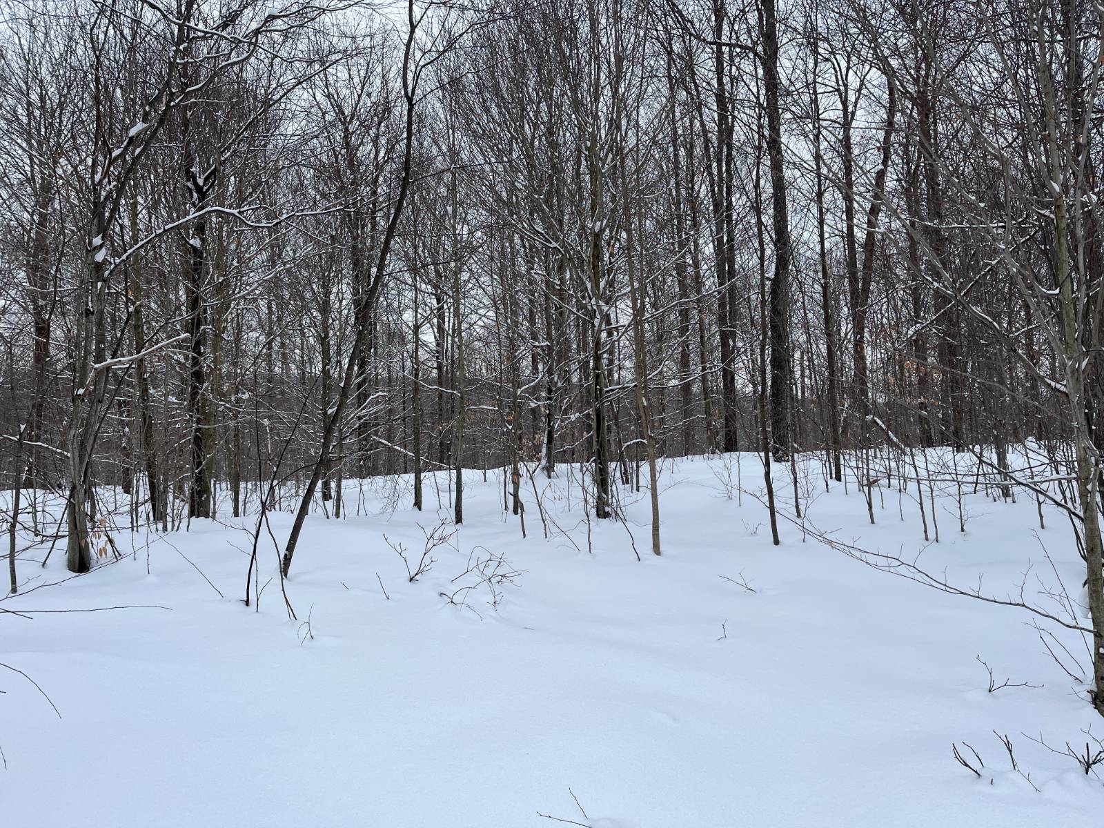 #28 photo, 00 Coffin Mills Rd, Oswegatchie , NY 13670