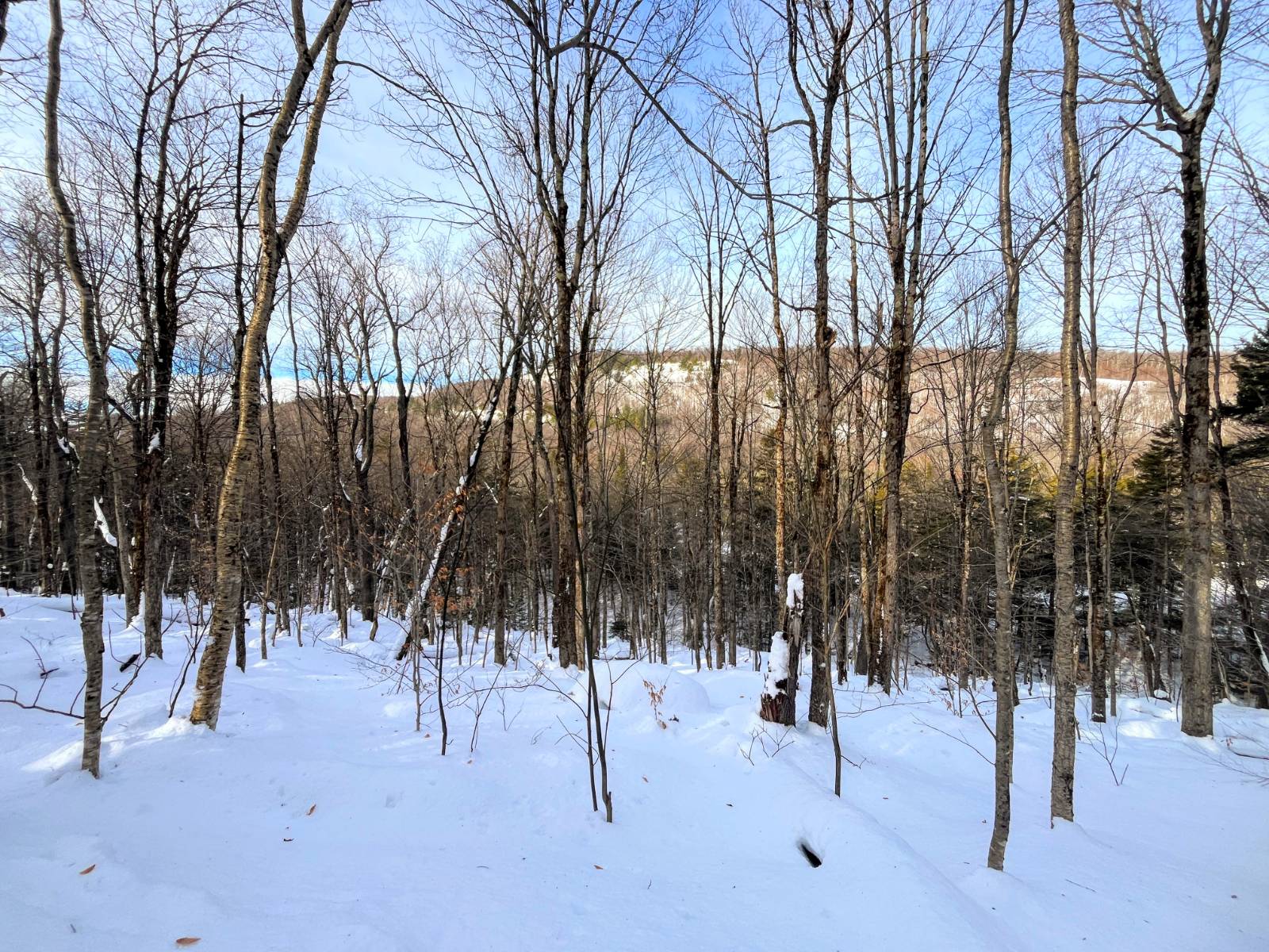 #3 photo, 00 Coffin Mills Rd, Oswegatchie , NY 13670