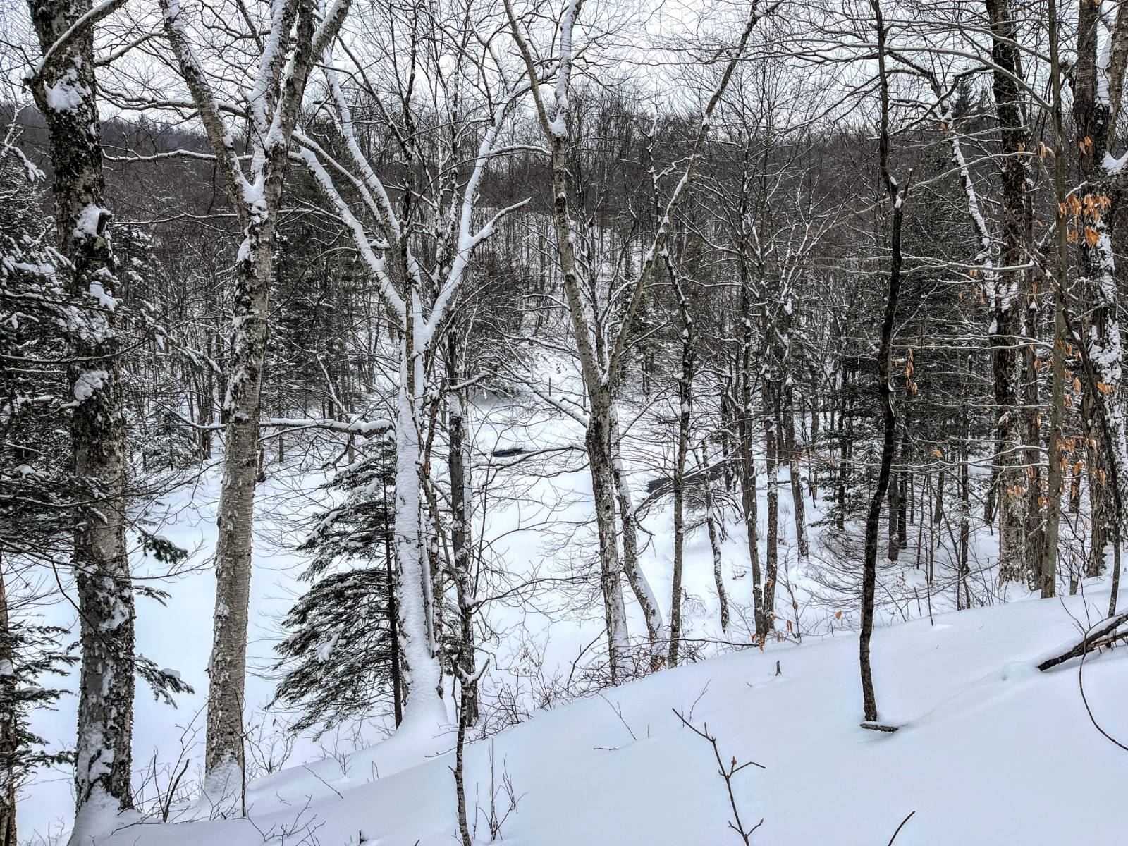 #30 photo, 00 Coffin Mills Rd, Oswegatchie , NY 13670