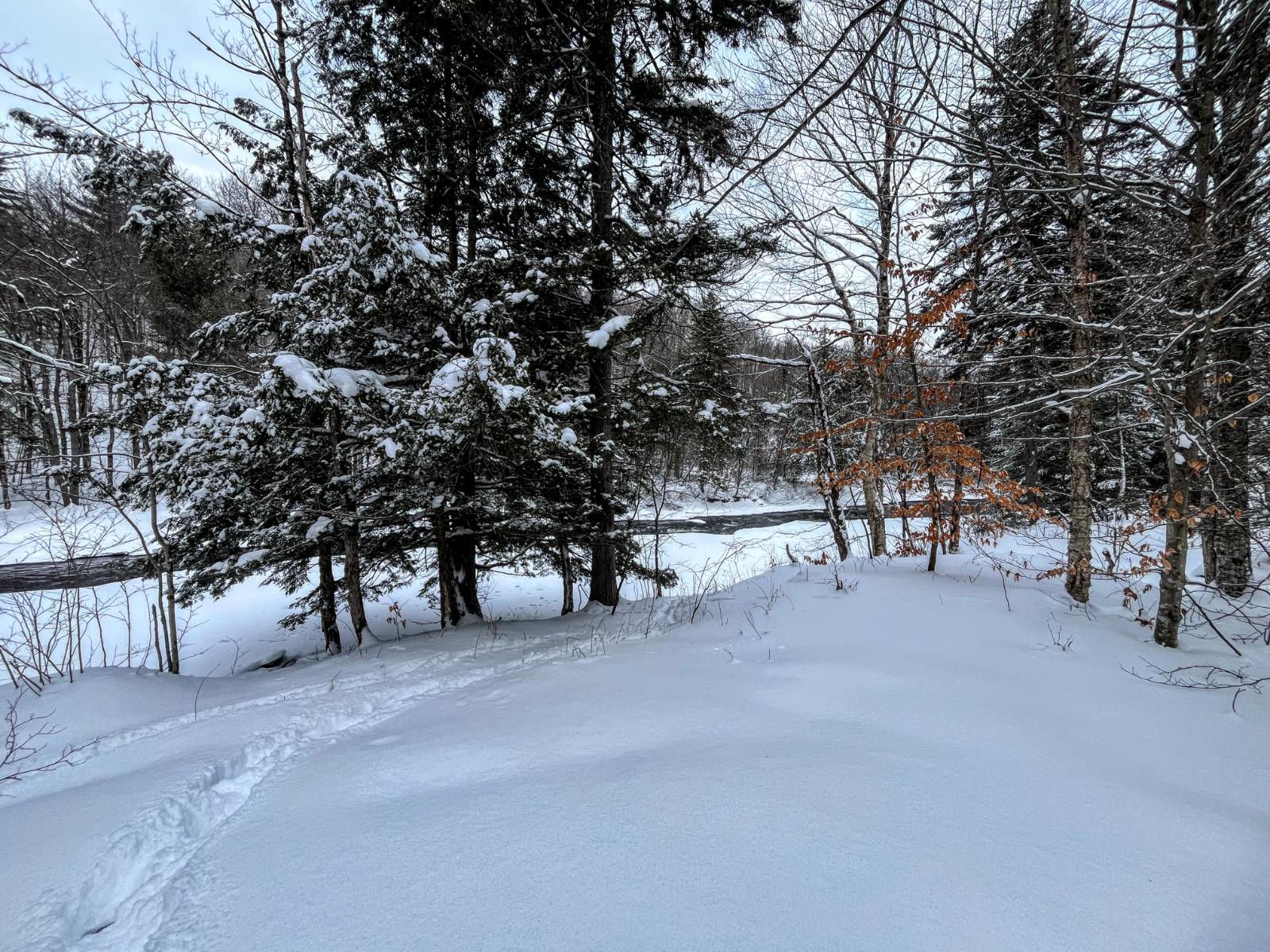 #33 photo, 00 Coffin Mills Rd, Oswegatchie , NY 13670