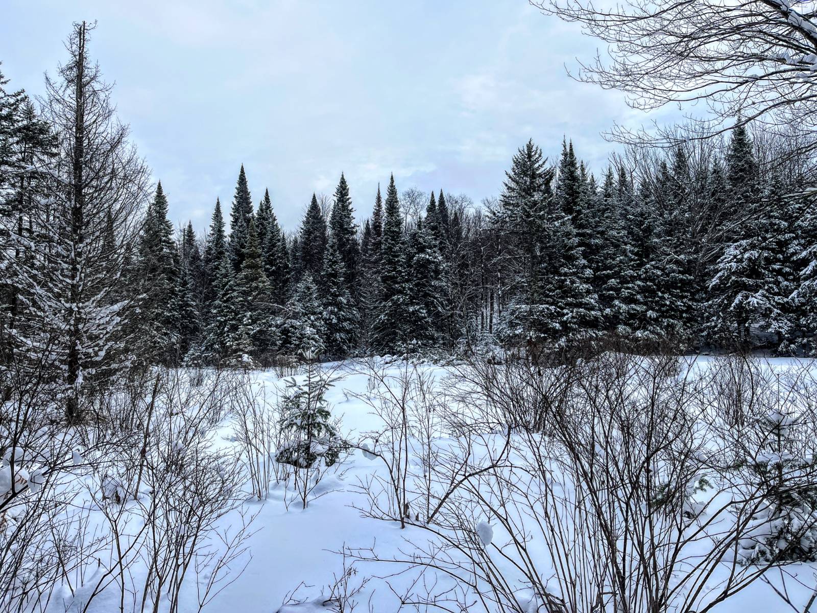 #34 photo, 00 Coffin Mills Rd, Oswegatchie , NY 13670