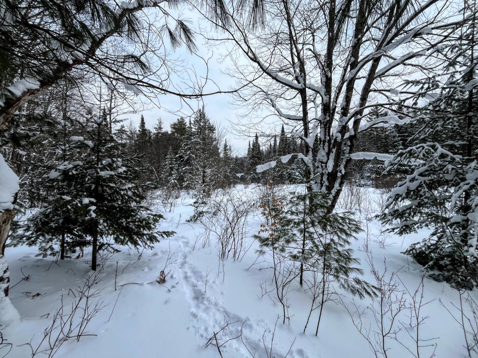 #35 photo, 00 Coffin Mills Rd, Oswegatchie , NY 13670