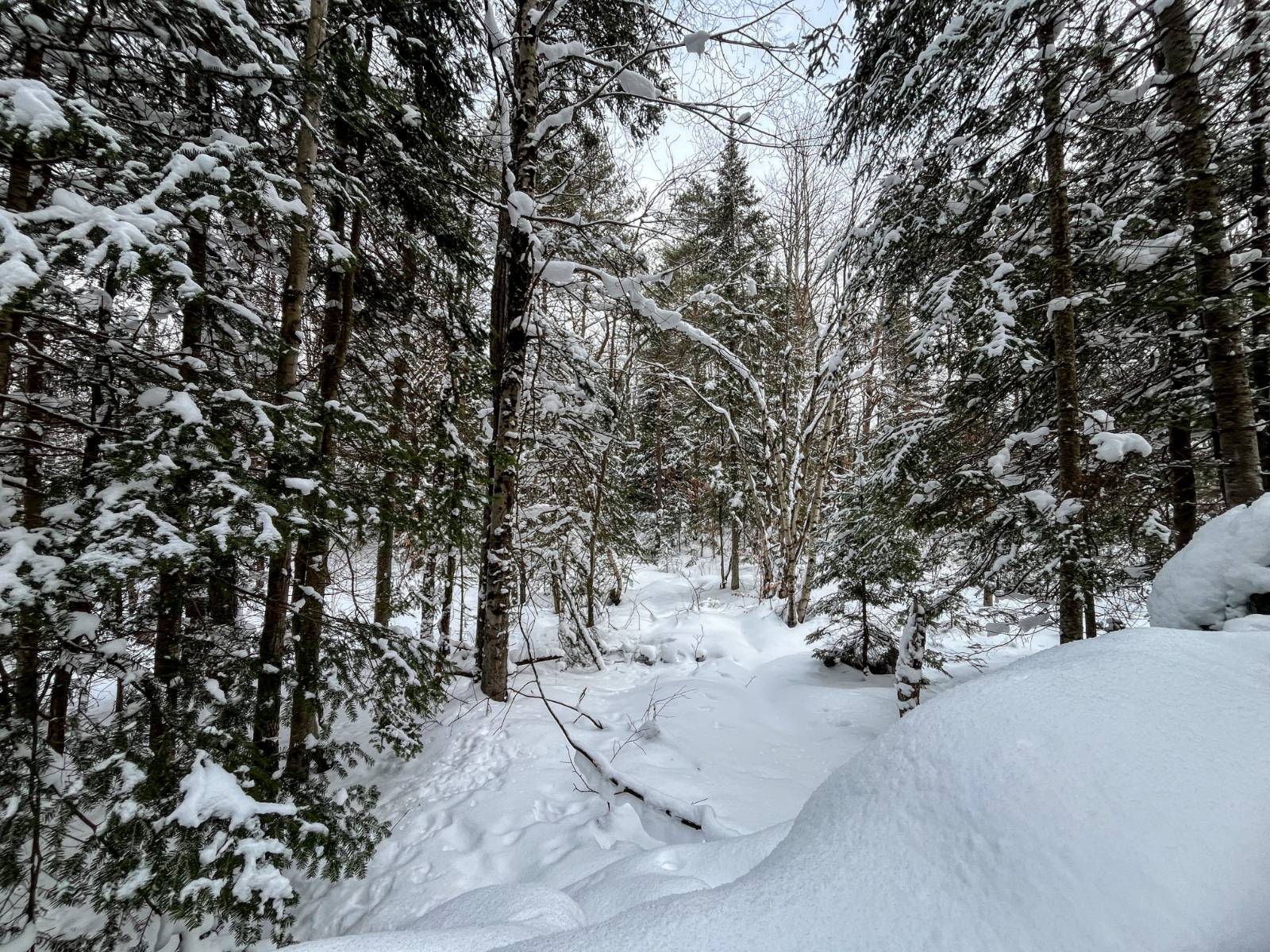 #36 photo, 00 Coffin Mills Rd, Oswegatchie , NY 13670