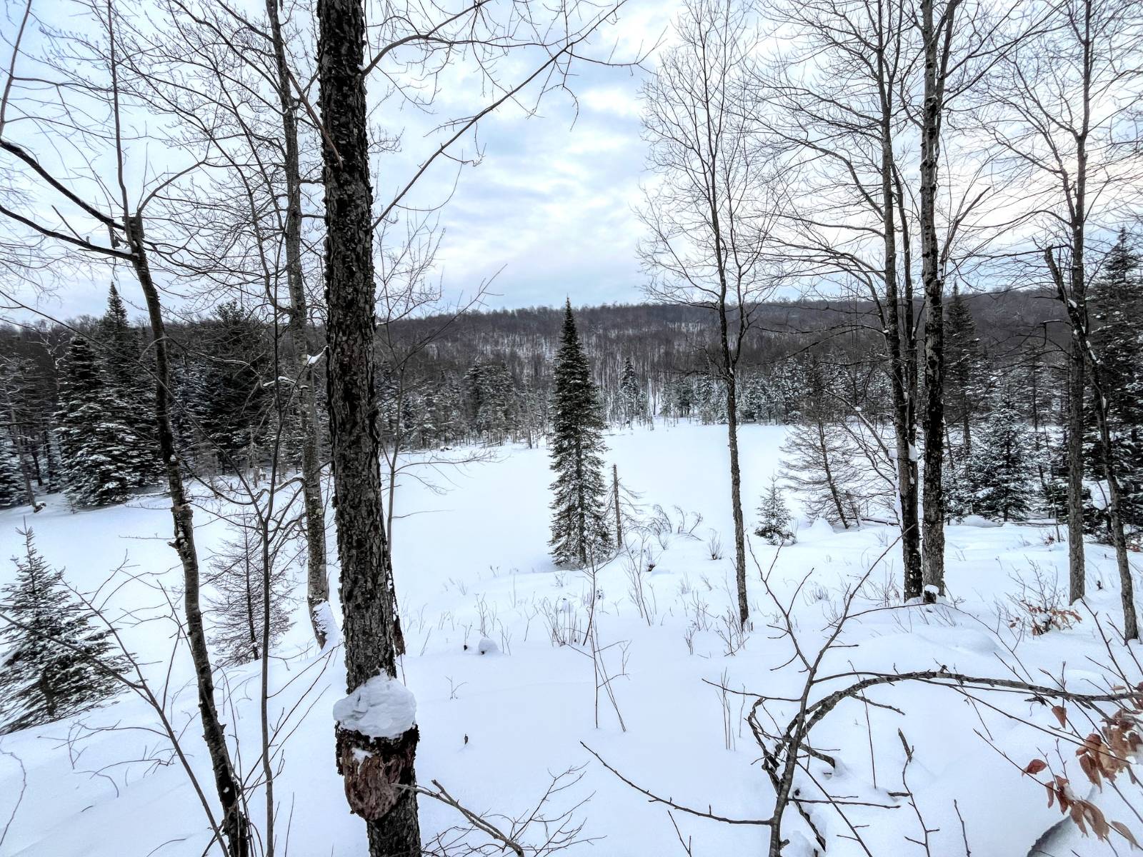 #37 photo, 00 Coffin Mills Rd, Oswegatchie , NY 13670