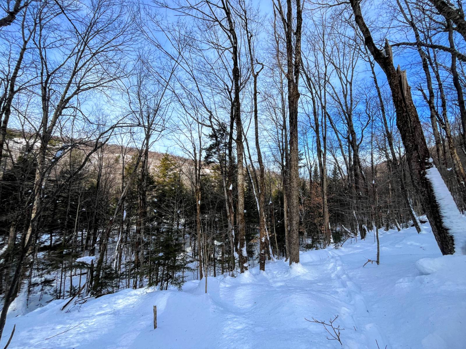 #7 photo, 00 Coffin Mills Rd, Oswegatchie , NY 13670