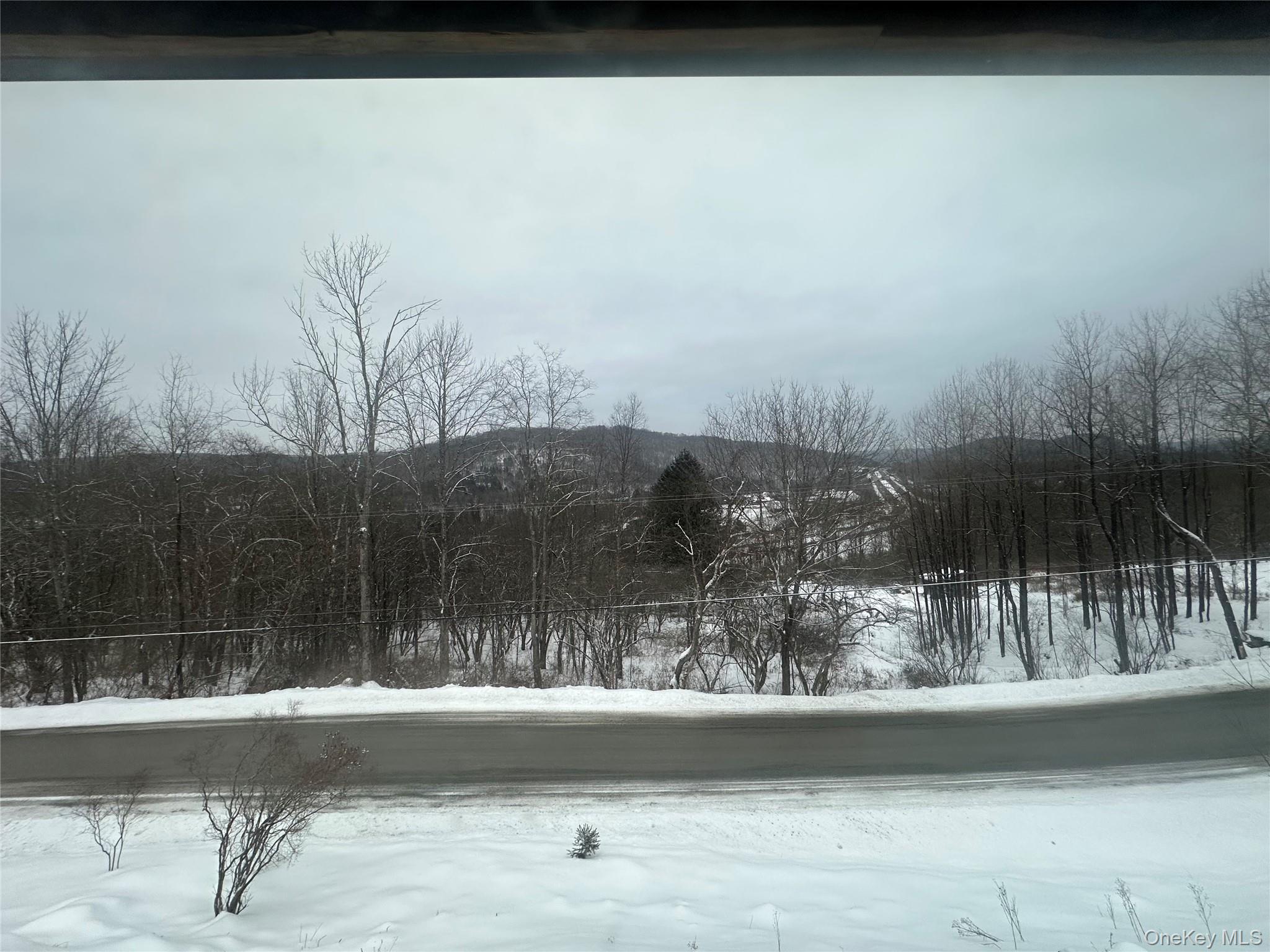 #20 photo, 161 Hazel Road, Livingston Manor , NY 12758