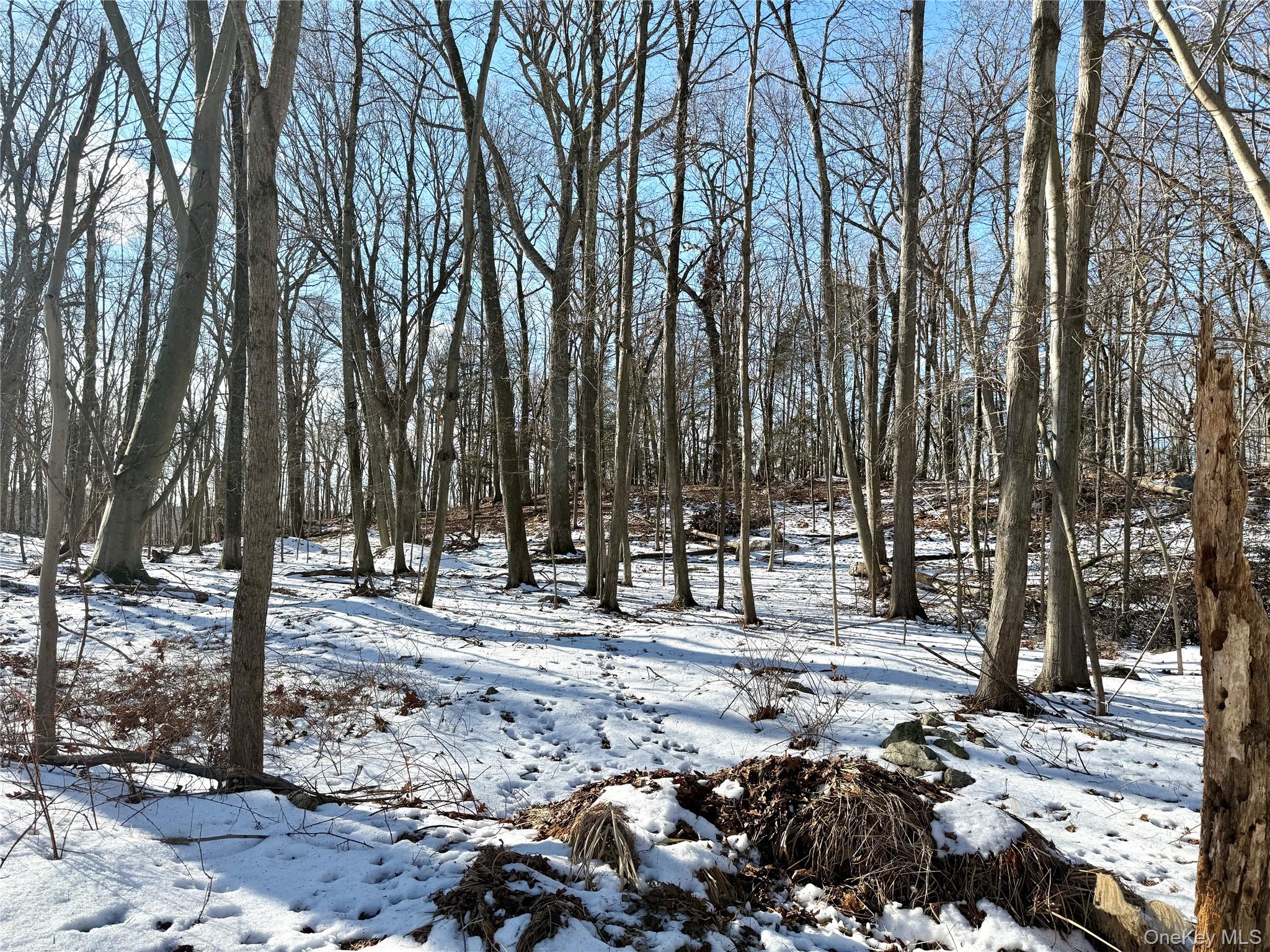 #2 photo, 8 Maple Ridge Trail, North Salem , NY 10560