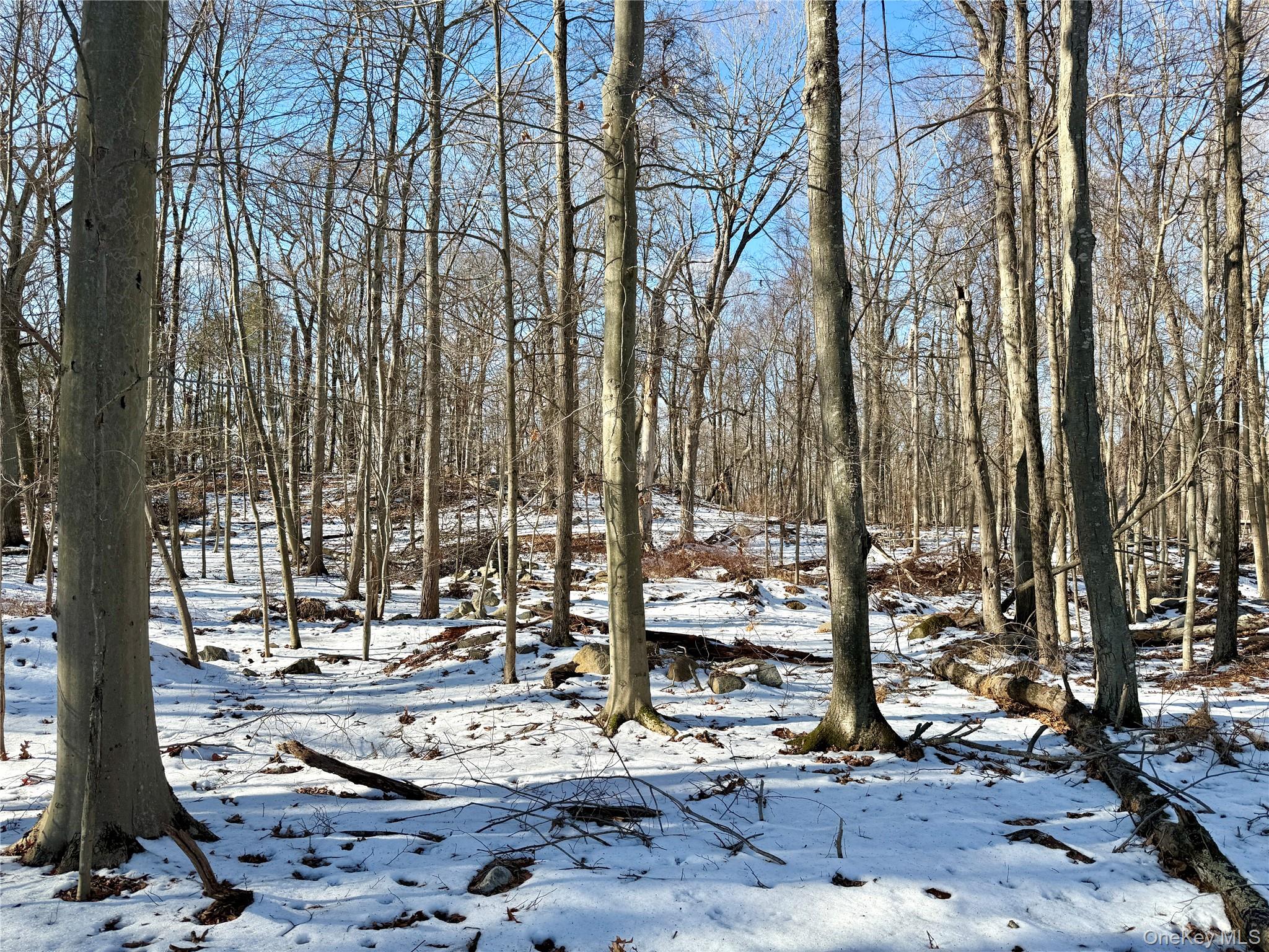 #3 photo, 8 Maple Ridge Trail, North Salem , NY 10560