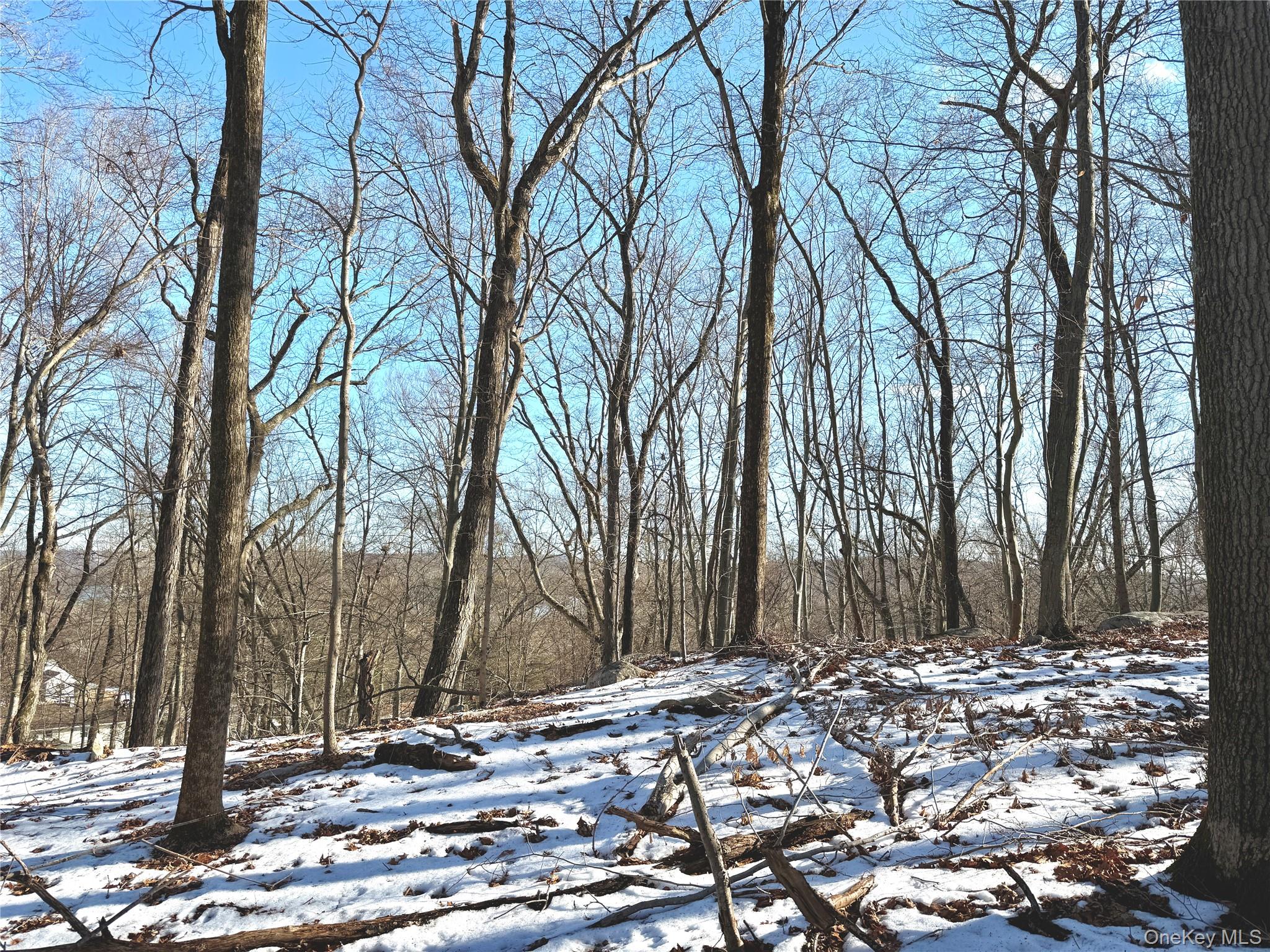 #4 photo, 8 Maple Ridge Trail, North Salem , NY 10560