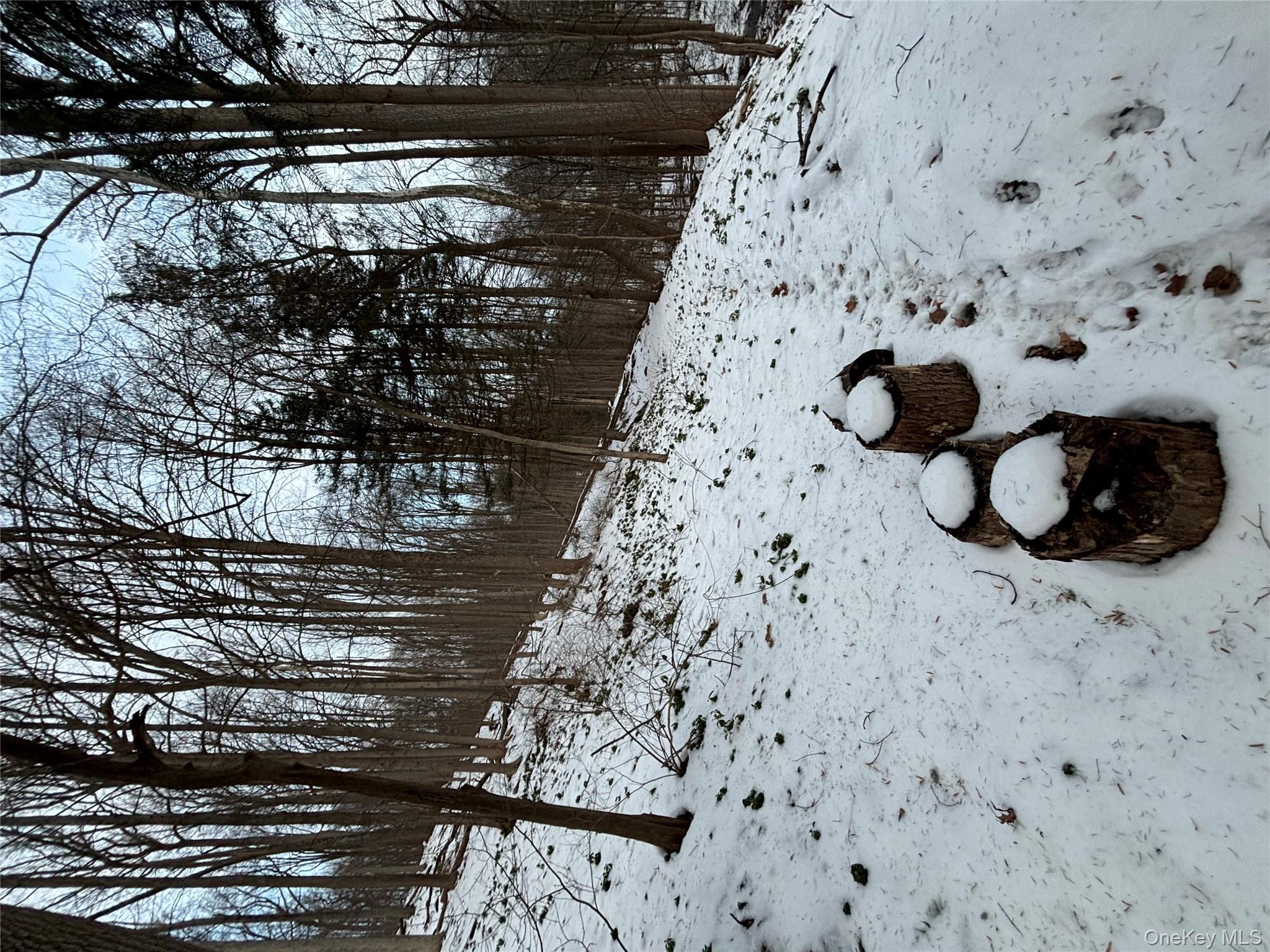 #6 photo, Gallows Hill Road, Cortlandt Manor , NY 10567