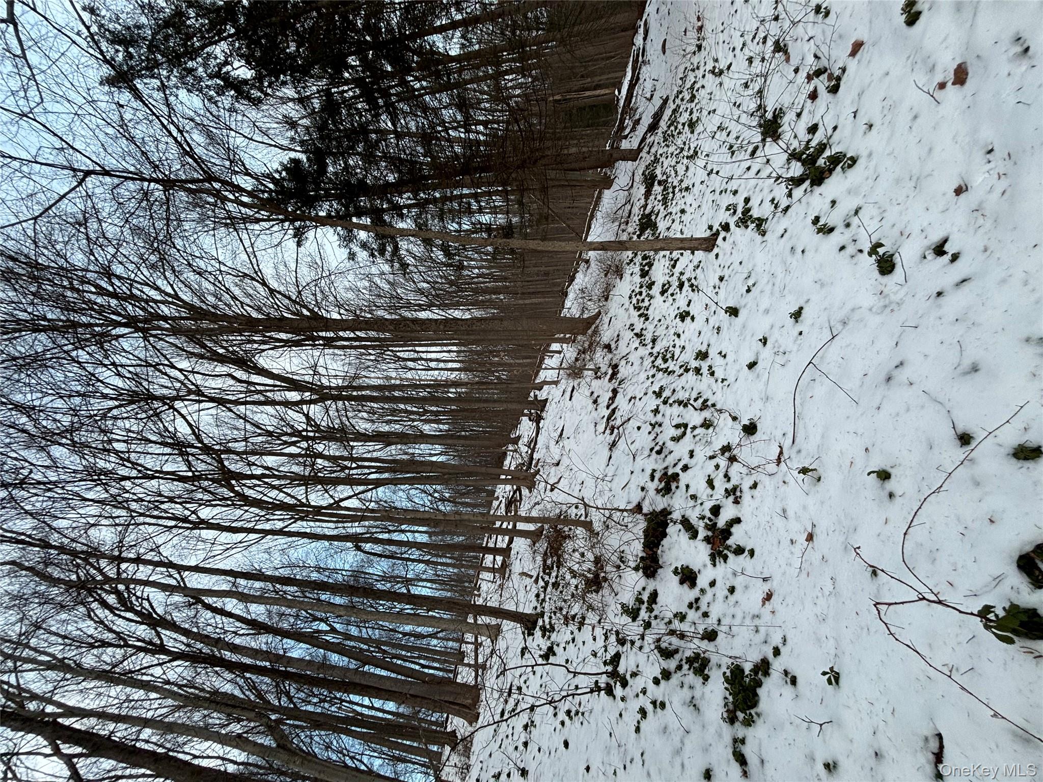 #7 photo, Gallows Hill Road, Cortlandt Manor , NY 10567