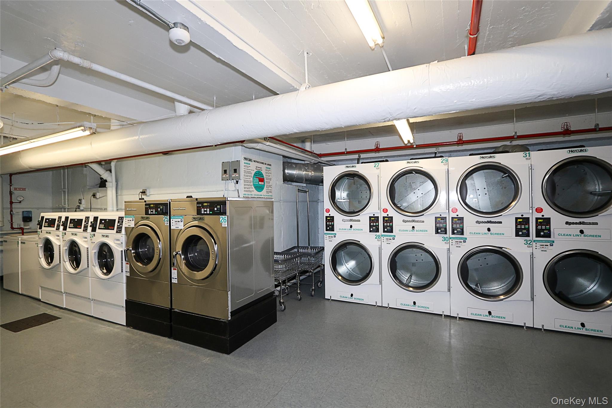 #12 photo, 226-26 Union Turnpike, कुईंस Oakland Gardens , NY 11364