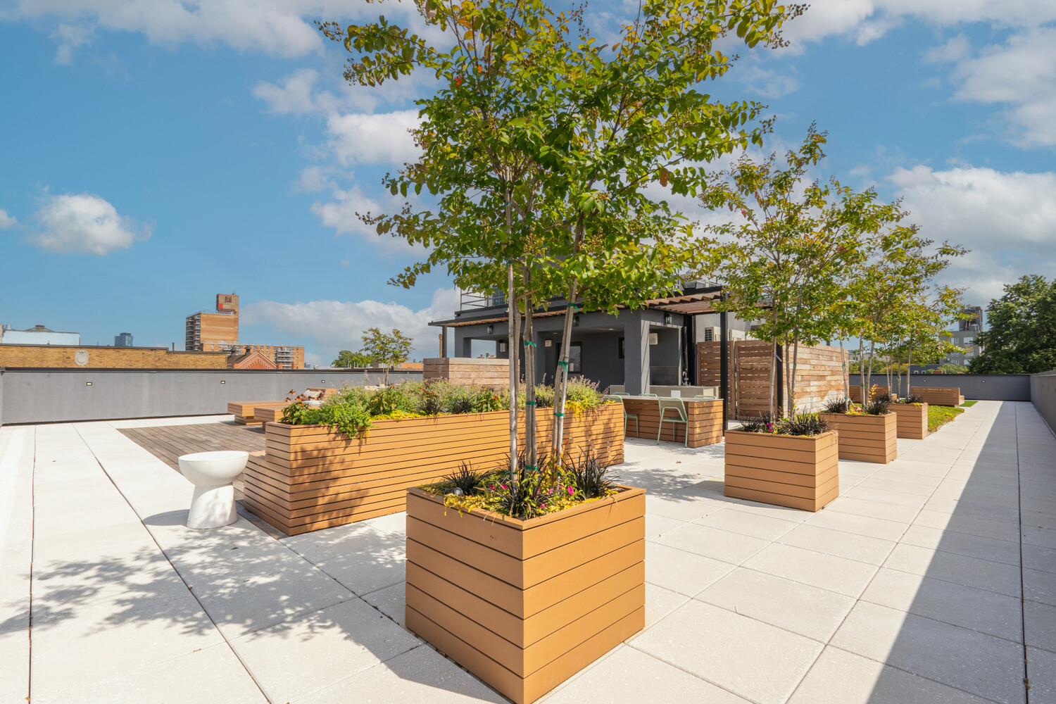 #19 photo, 228 13TH Street, Park Slope , NY 11215