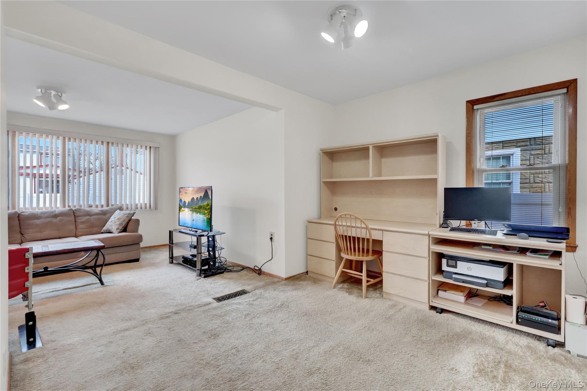 #10 photo, 206 9th Street, Hicksville , NY 11801