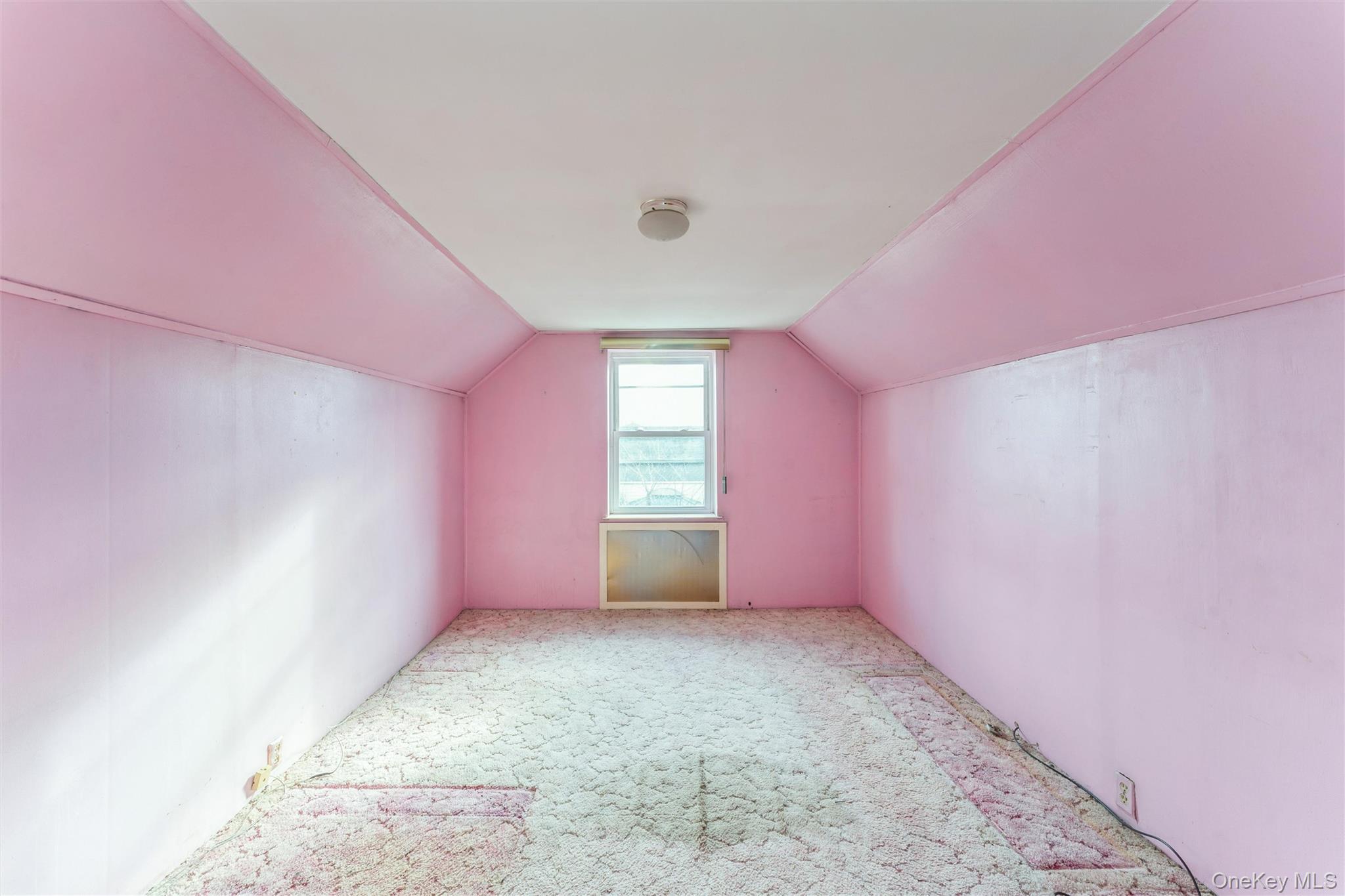 #10 photo, 1119 Theodora Street, מחוז נסאו Franklin Square , NY 11010