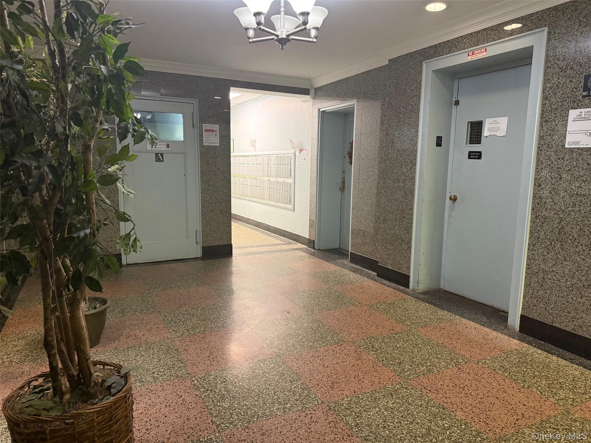 #9 photo, 83-77 Woodhaven Boulevard, Woodhaven , NY 11421