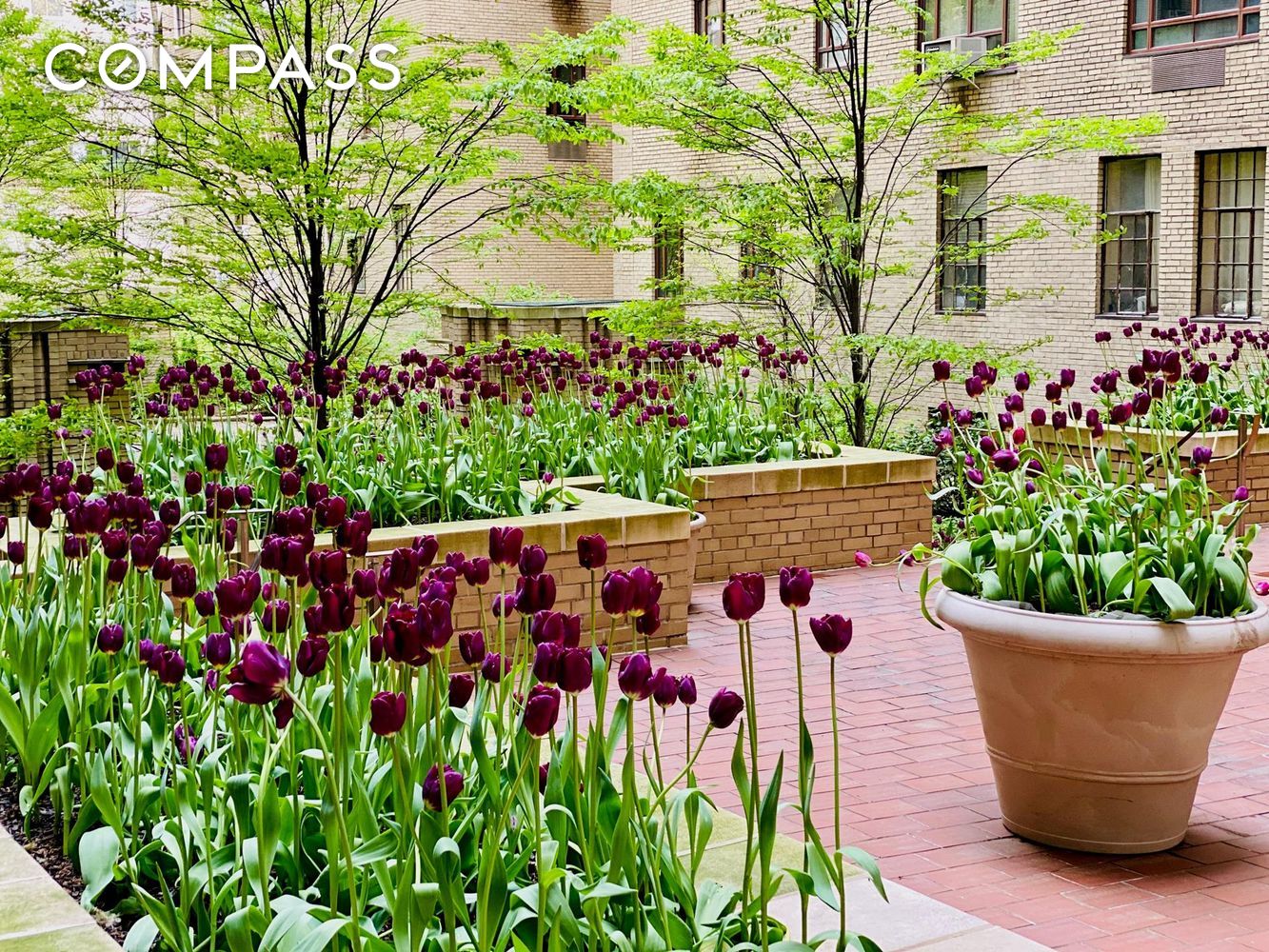 #20 photo, 25 Central Park W, Upper West Side , NY 10023