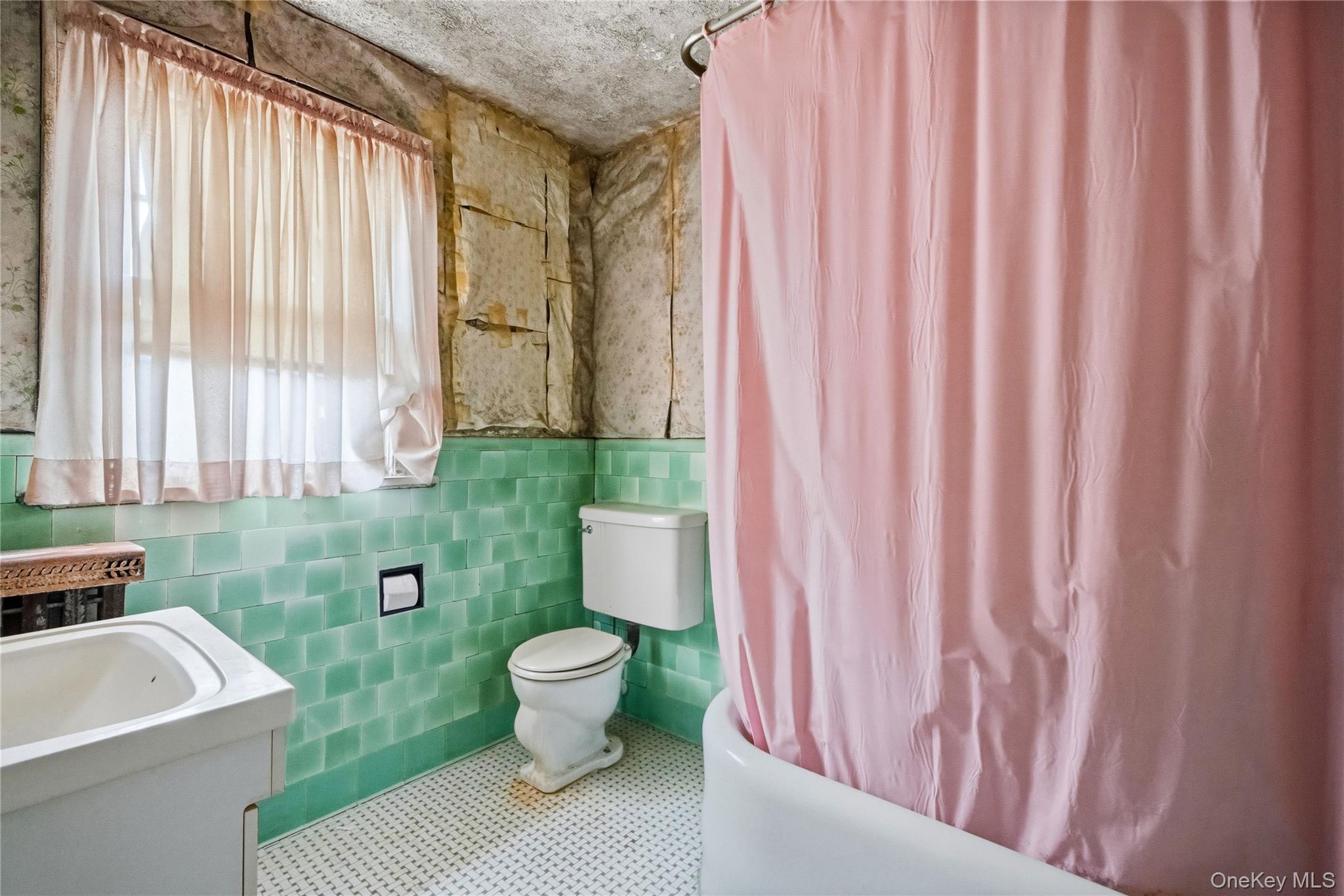 #18 photo, 114 Buckingham Place, מחוז נסאו Lynbrook , NY 11563