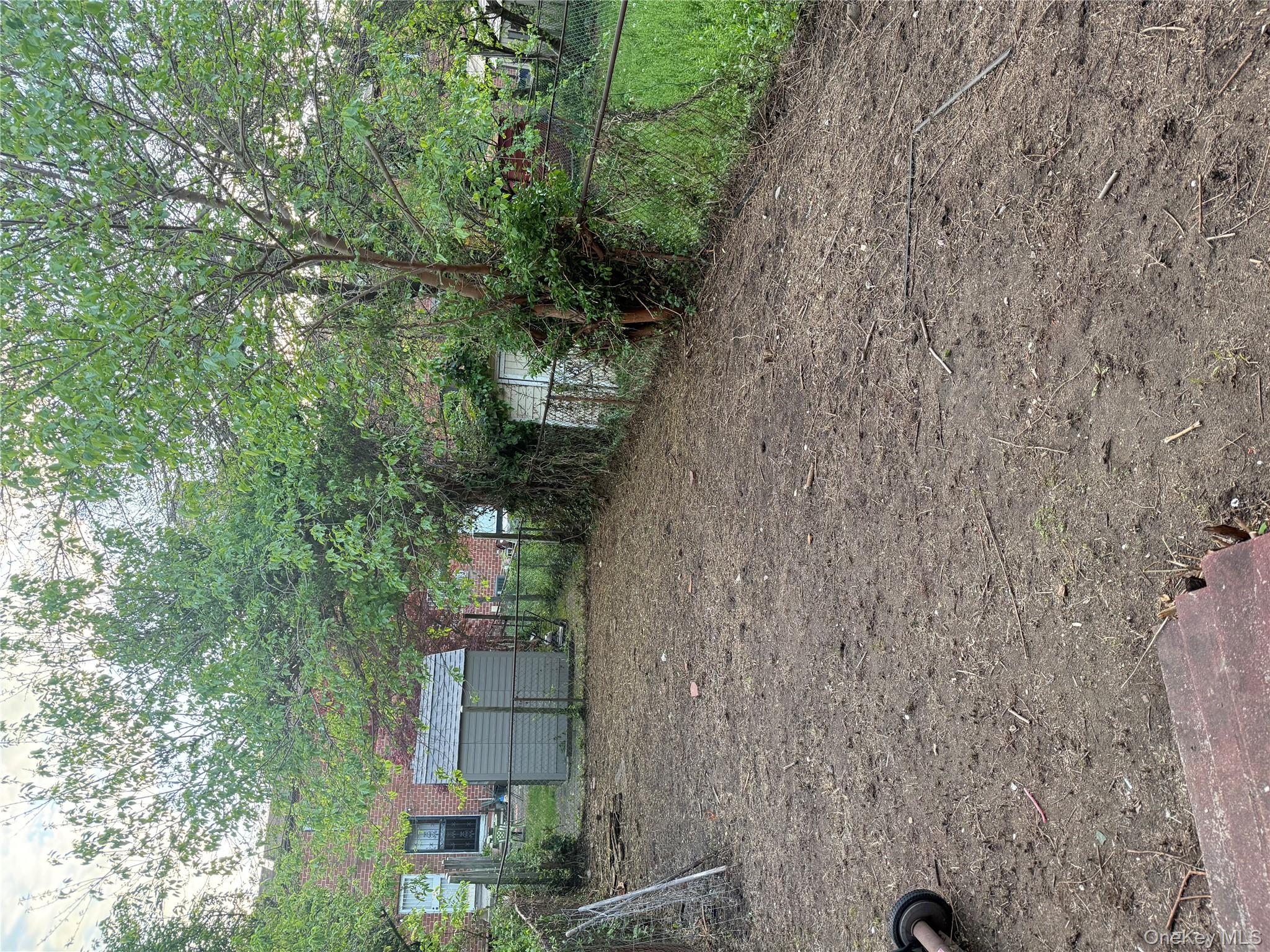 #17 photo, 244 Grafton Street, Brooklyn , NY 11212