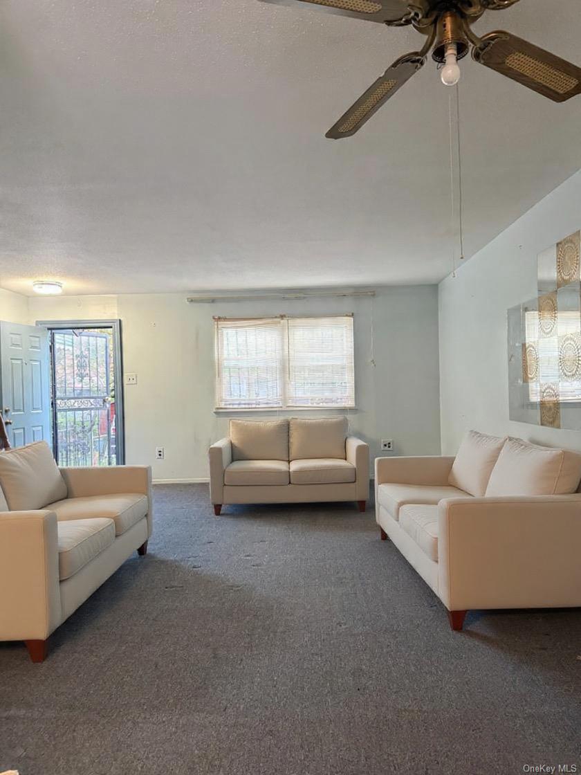 #3 photo, 244 Grafton Street, הברונקס Brooklyn , NY 11212