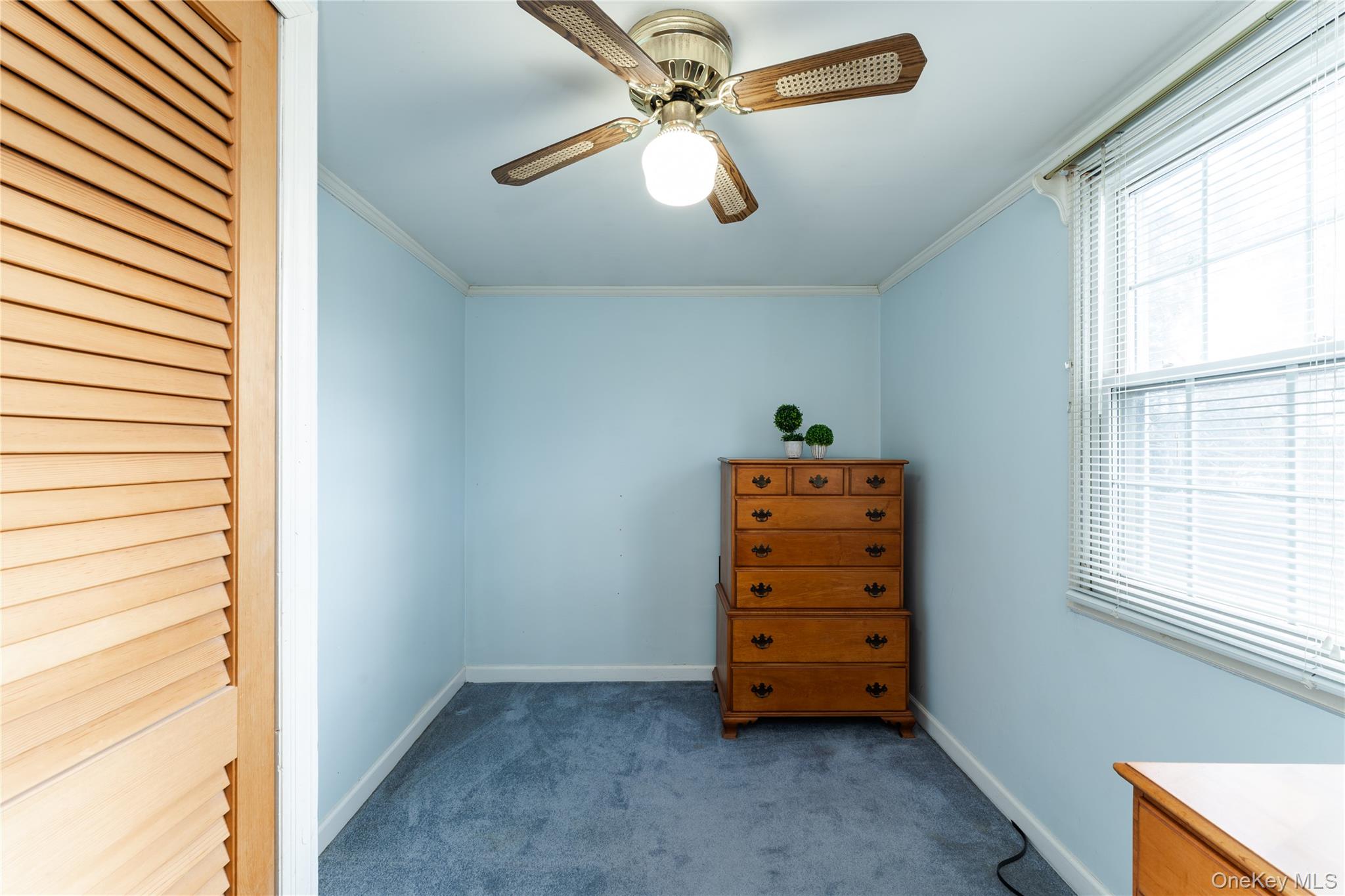 #14 photo, 16 8th Street, 长岛 Carle Place , NY 11514