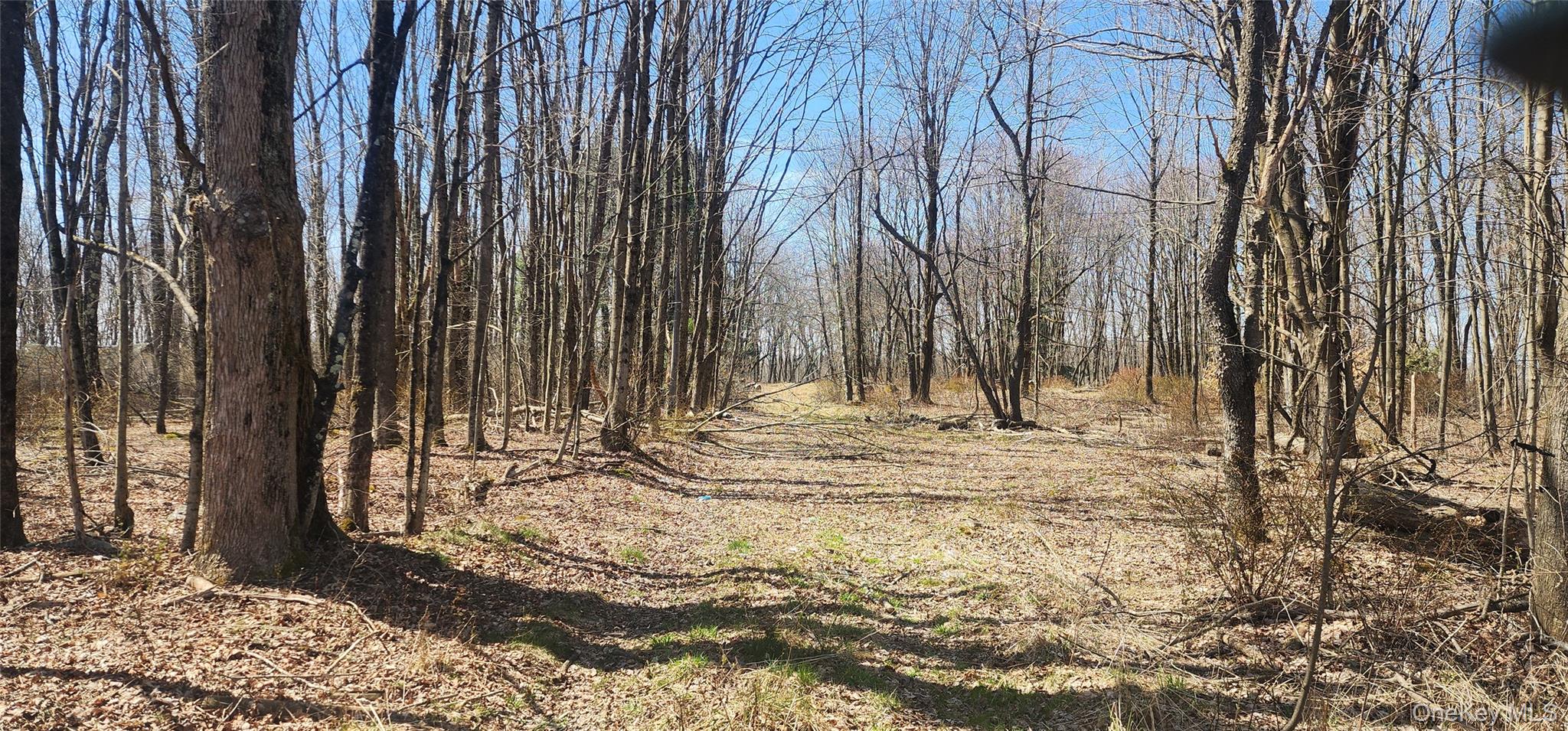 #1 photo, 00 Liberty Street, Monticello , NY 12701