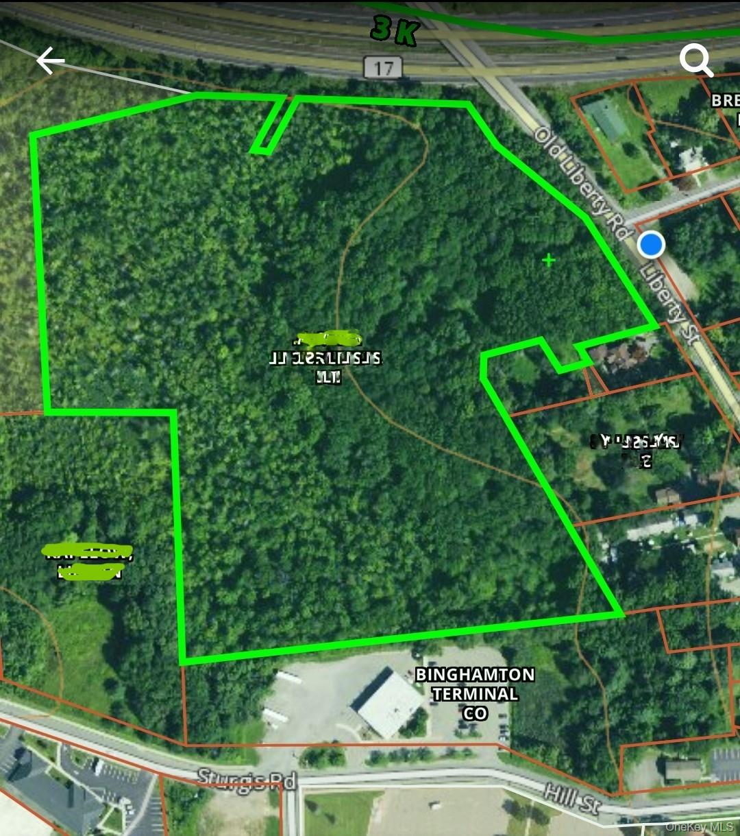 #10 photo, 00 Liberty Street, Monticello , NY 12701