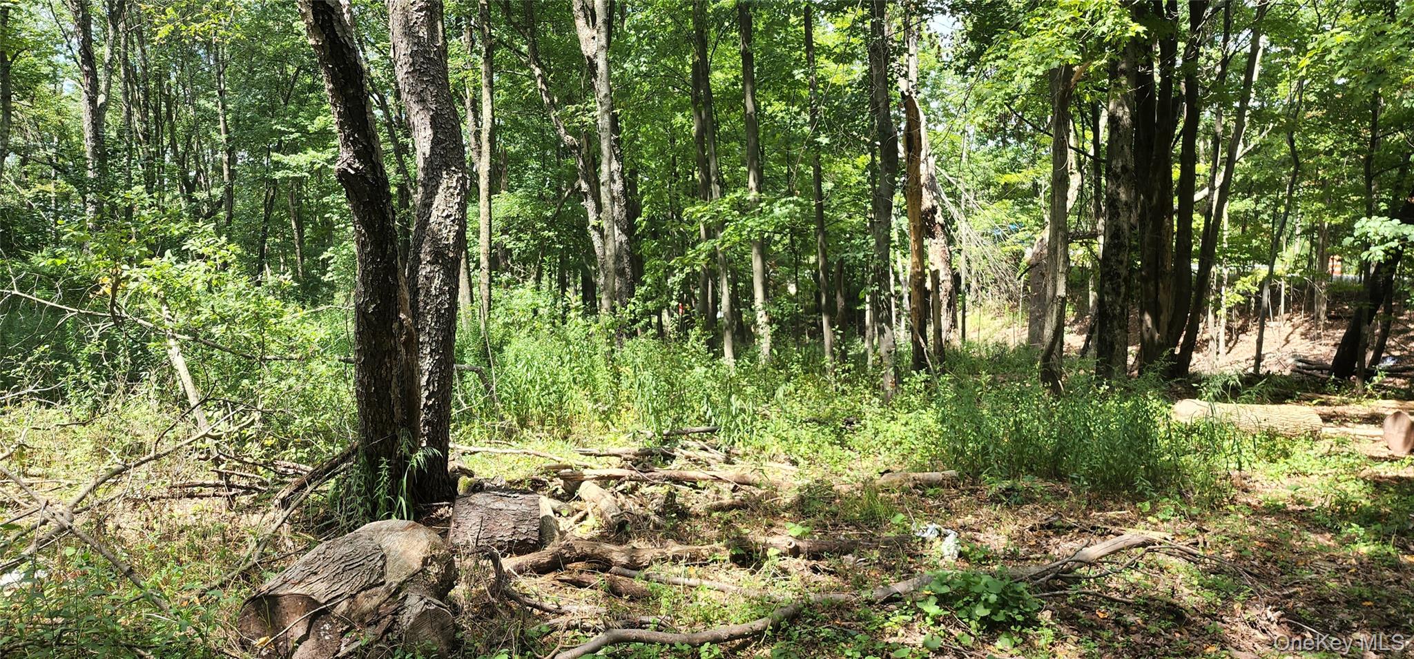 #3 photo, 00 Liberty Street, Monticello , NY 12701