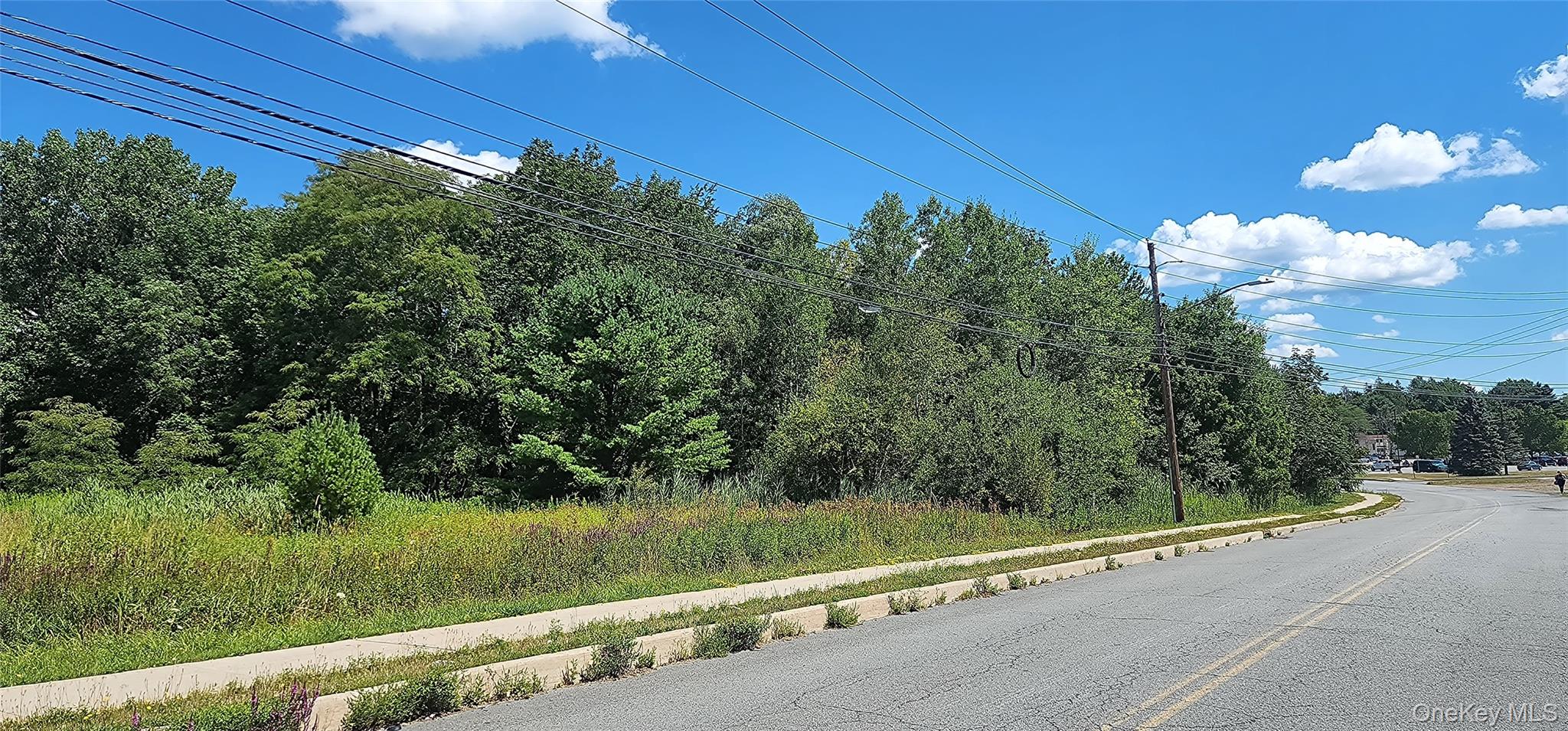 #5 photo, 00 Sturgis Road, Monticello , NY 12701