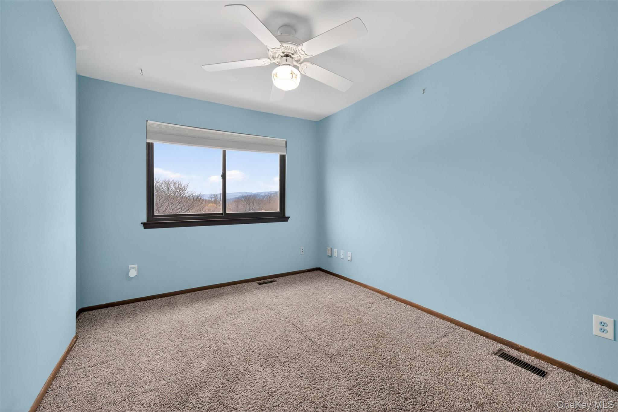 #20 photo, 13 Butternut Court, Highland Mills , NY 10930