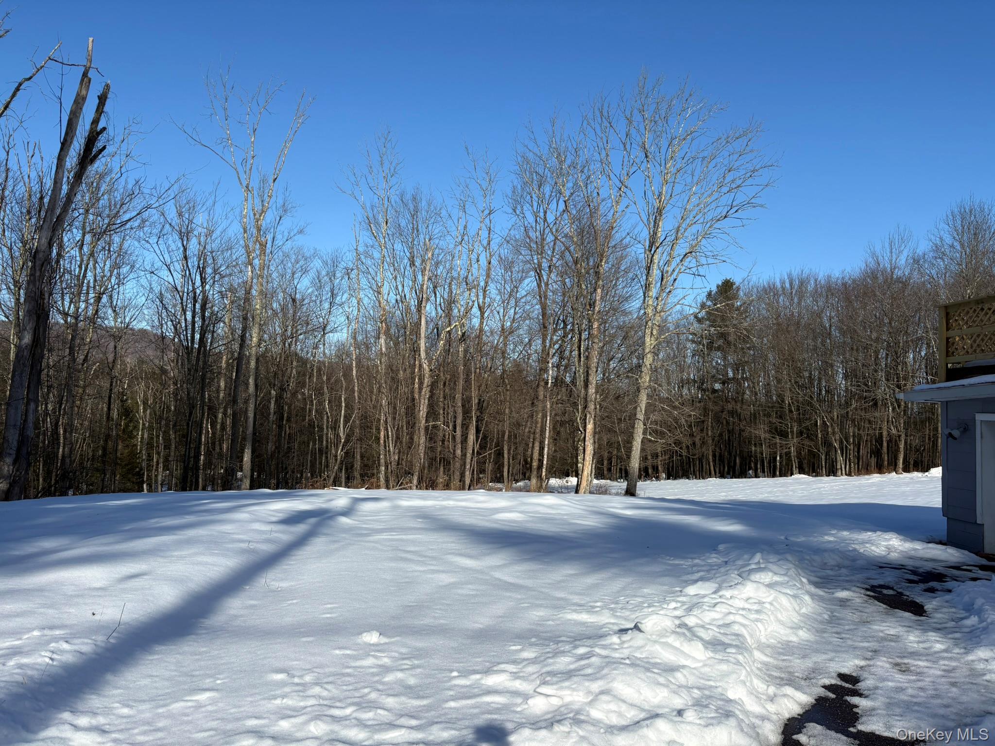 #18 photo, 241 W Lake Street, Liberty , NY 12754