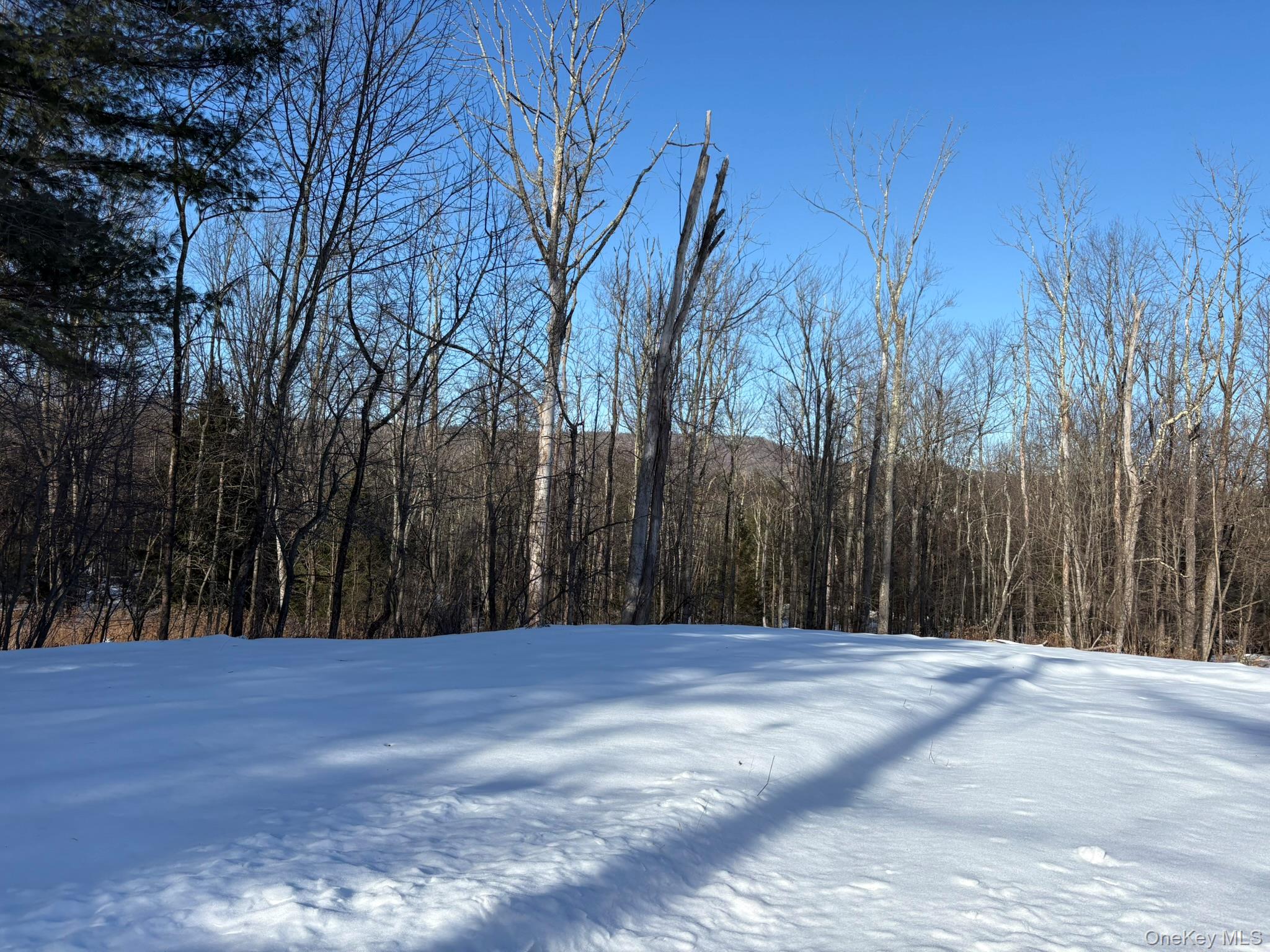 #19 photo, 241 W Lake Street, Liberty , NY 12754