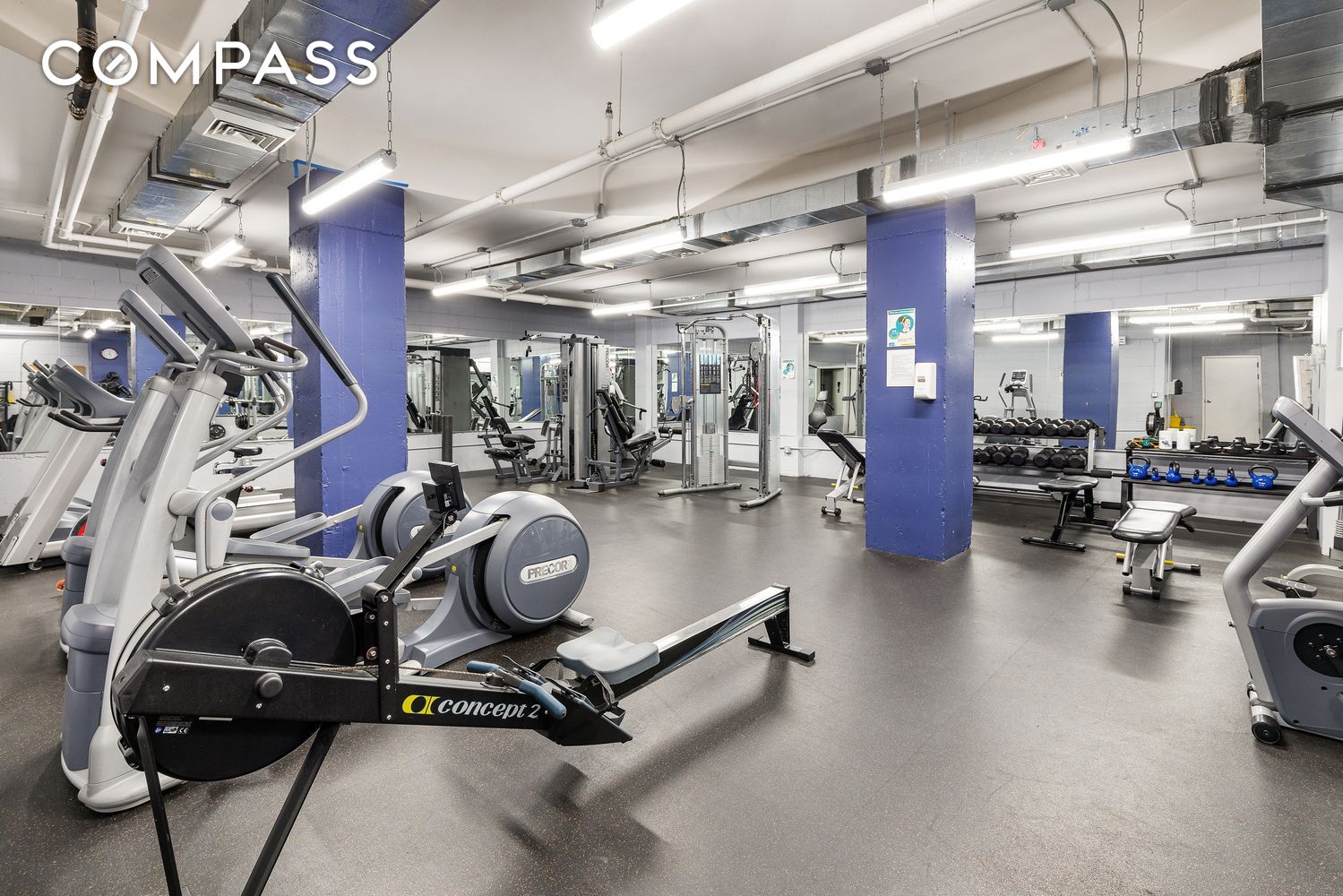 #11 photo, 181 Clermont Avenue, 格林堡 Fort Greene , NY 11205