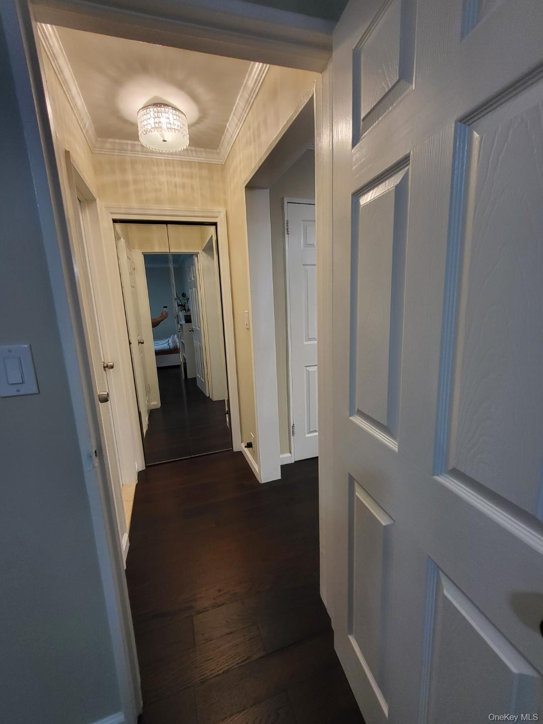 #8 photo, 17-52 166th, Whitestone , NY 11357