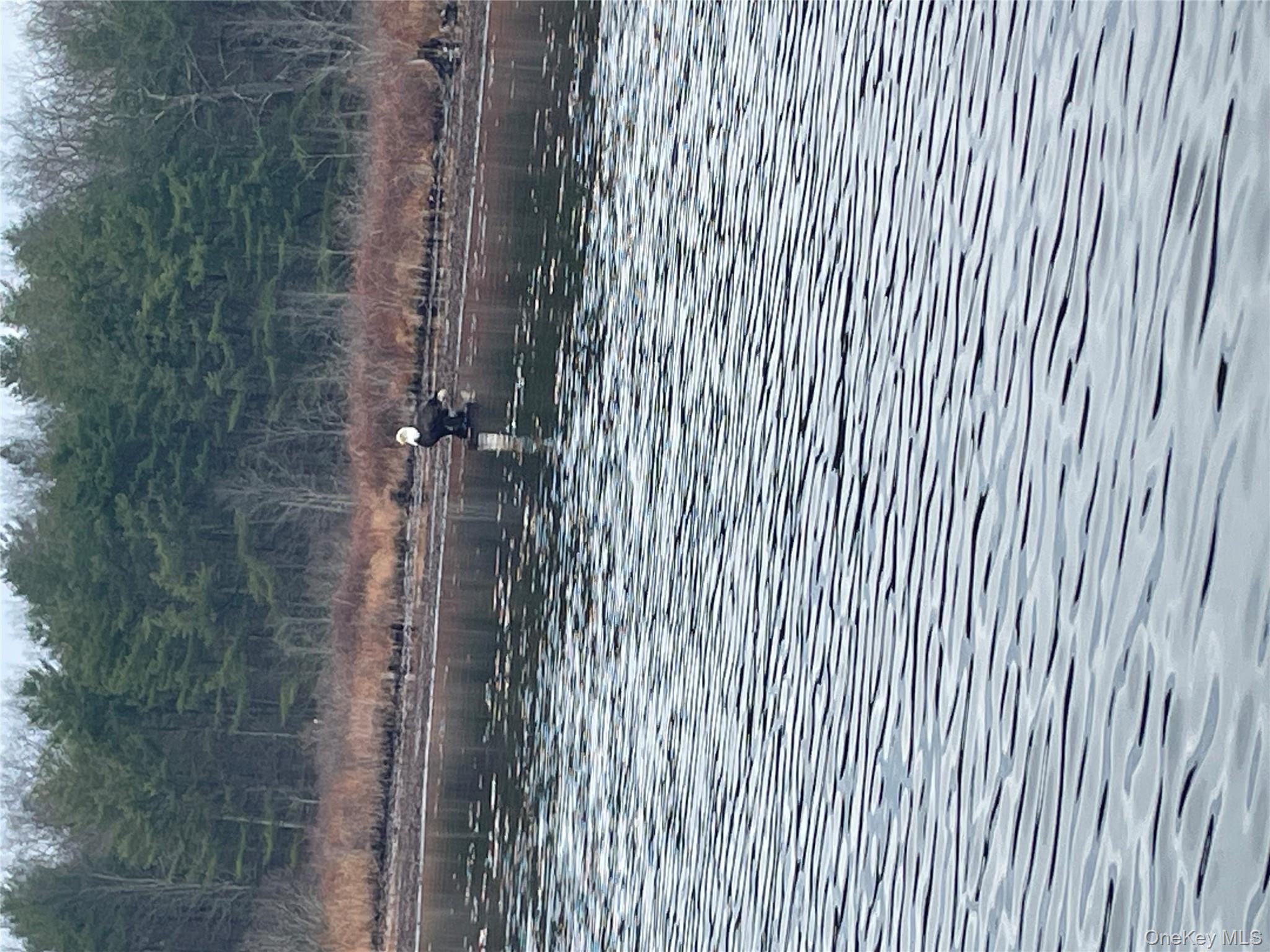 #5 photo, York Lake Estates Road, Barryville , NY 12719