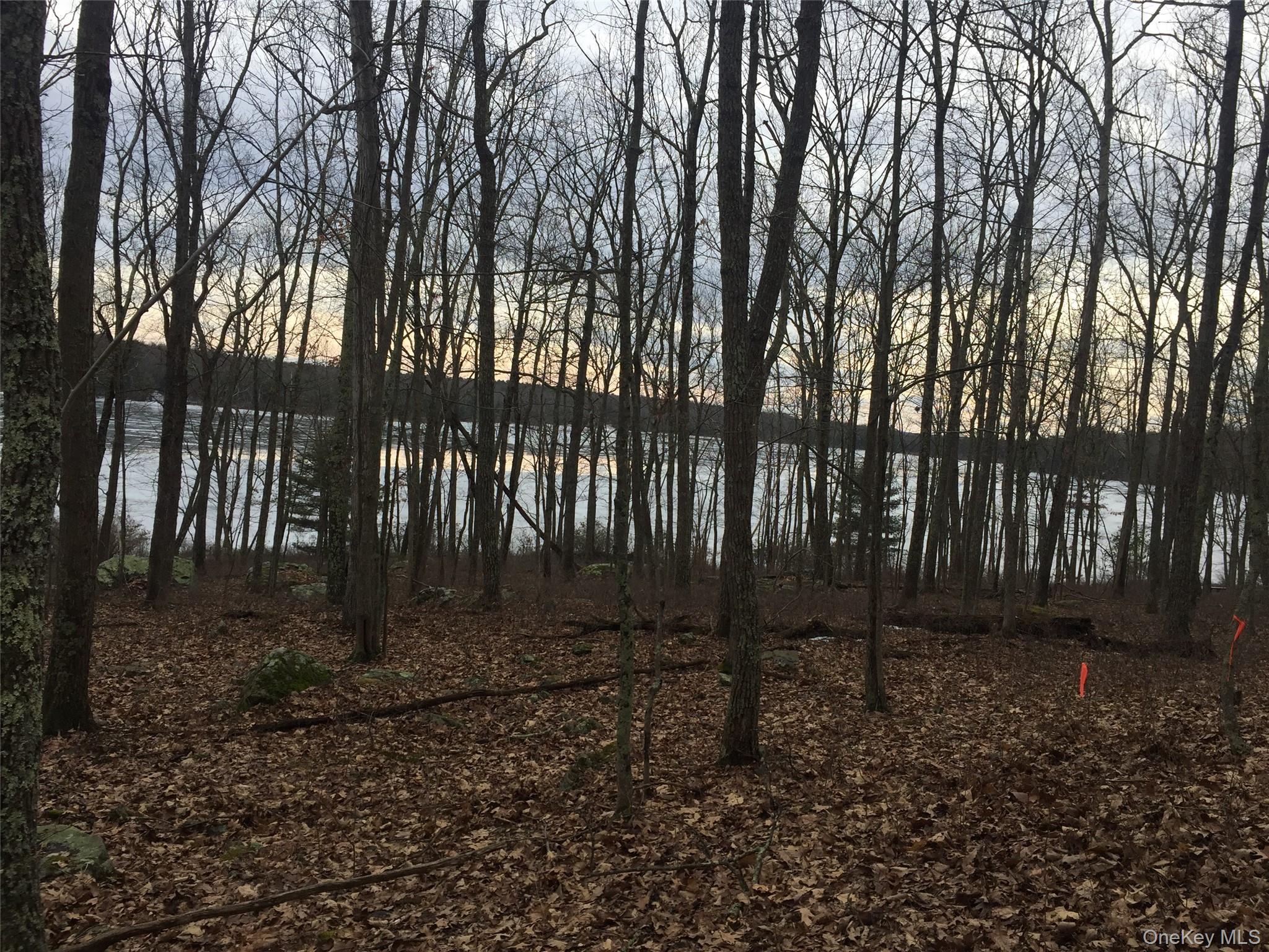 #7 photo, York Lake Estates Road, Barryville , NY 12719