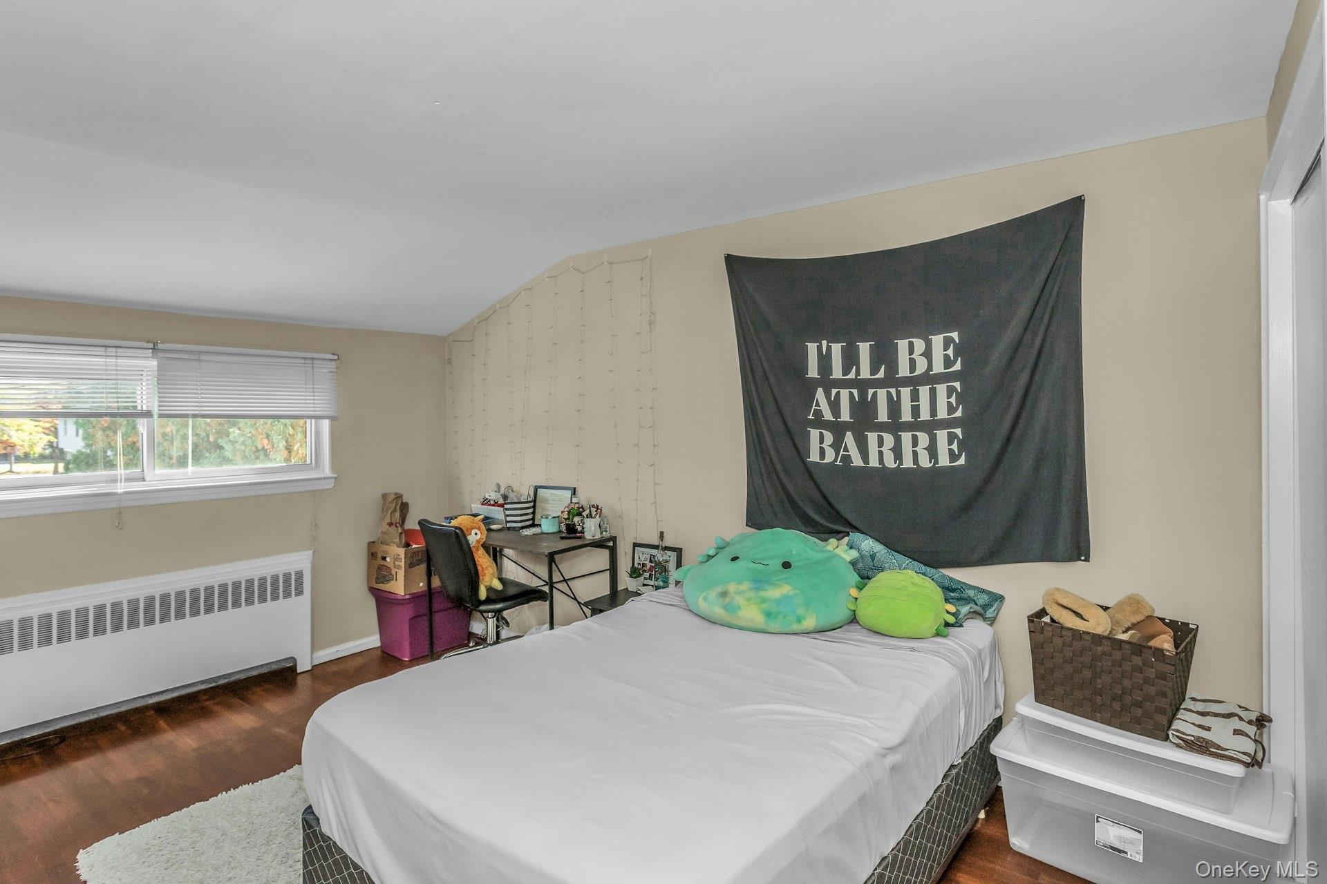 #17 photo, 17 Linwood Place, नासाउ काउंटी Massapequa Park , NY 11762