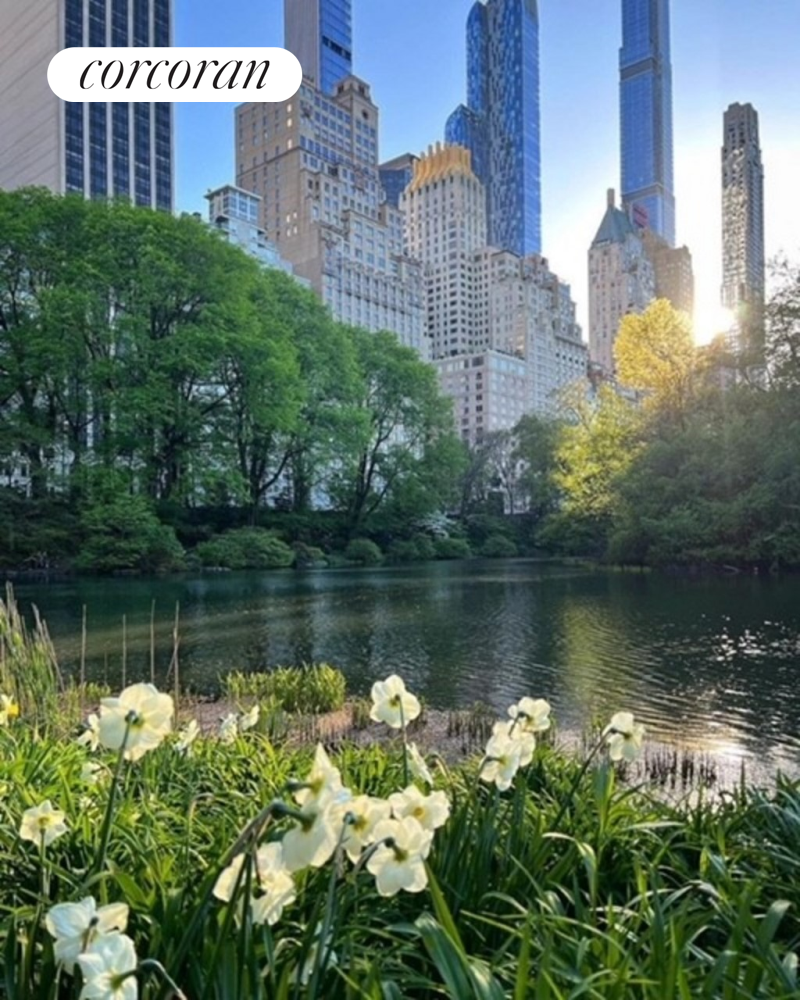 #6 photo, New York City, Central Park South , NY 10019
