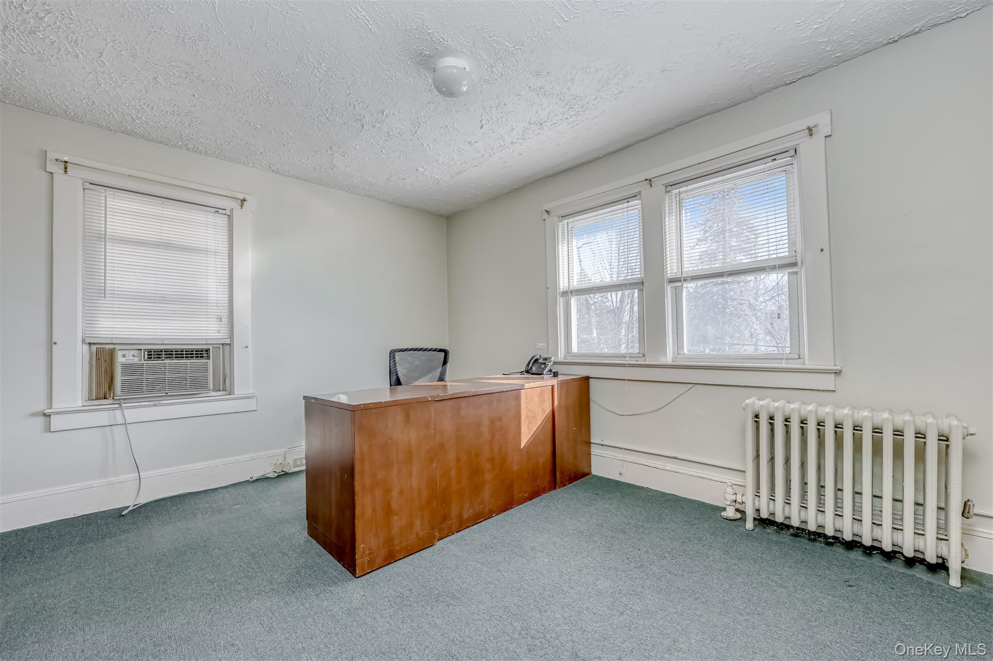 #15 photo, 313 N Main Street, Spring Valley , NY 10977