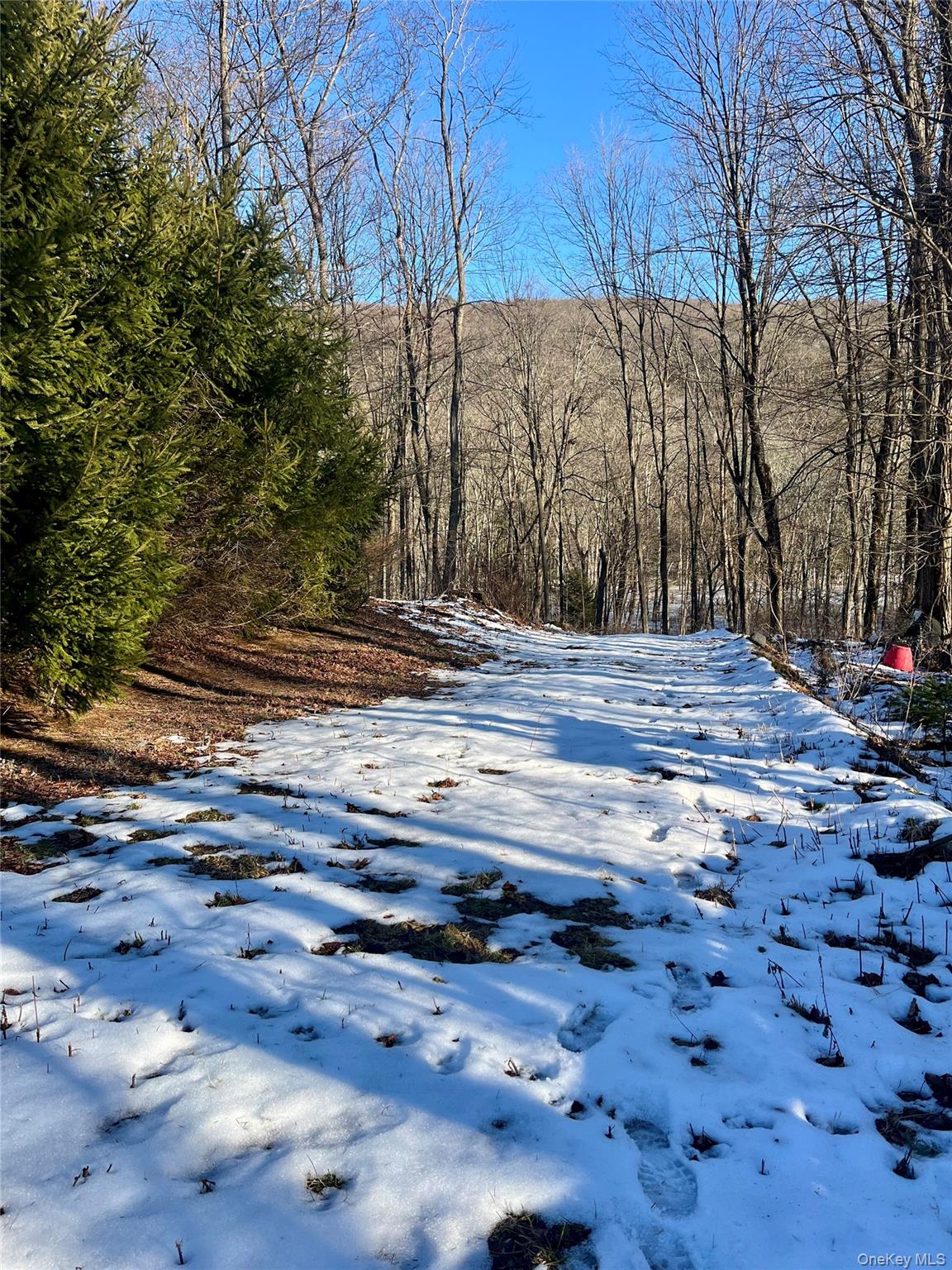 #1 photo, 80 Nelson Road, Greenwood Lake , NY 10925