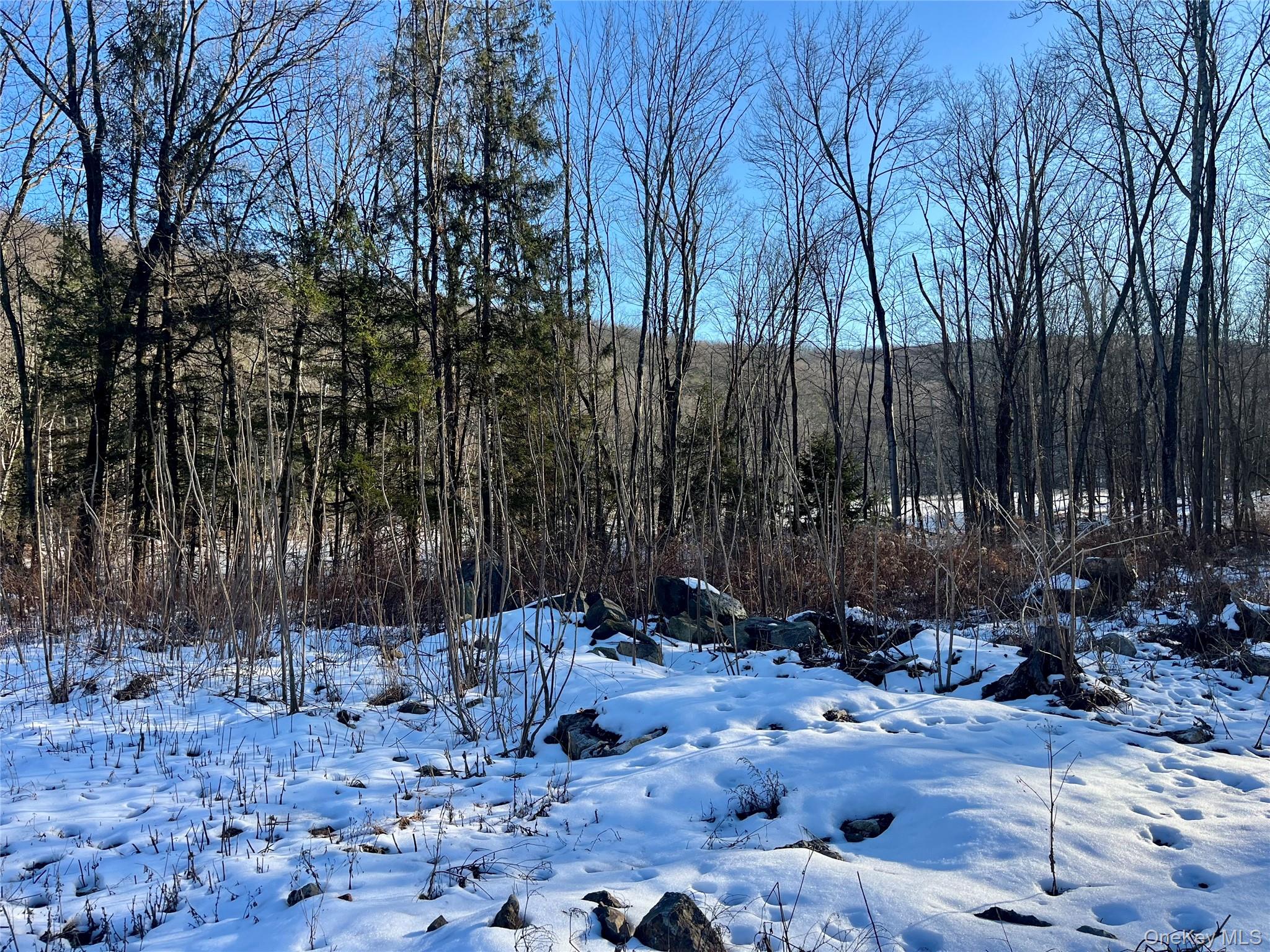 #5 photo, 80 Nelson Road, Greenwood Lake , NY 10925