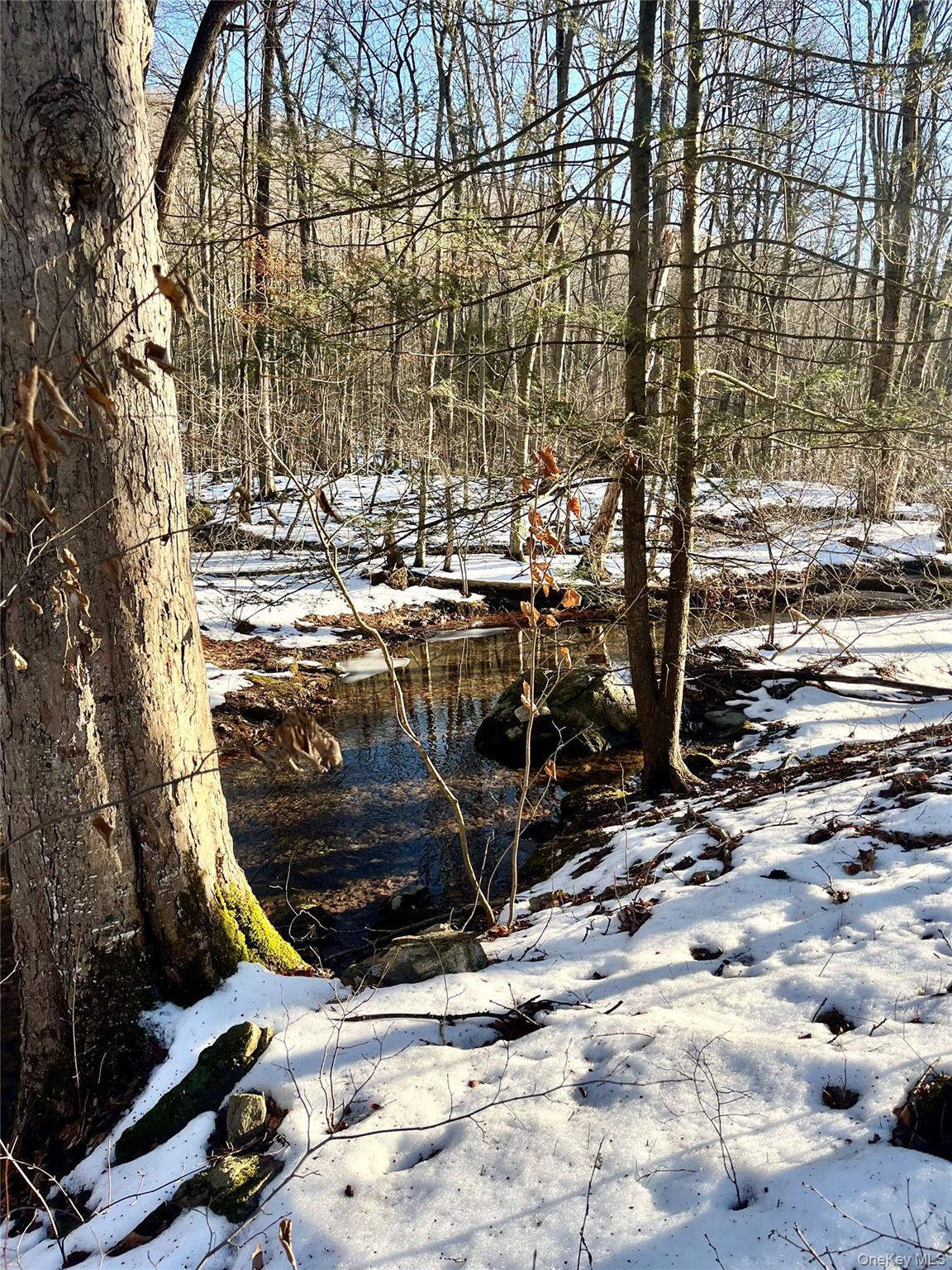 #7 photo, 80 Nelson Road, Greenwood Lake , NY 10925