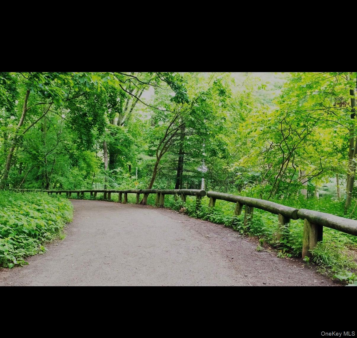 #18 photo, 85-40 79th Street, Woodhaven , NY 11421