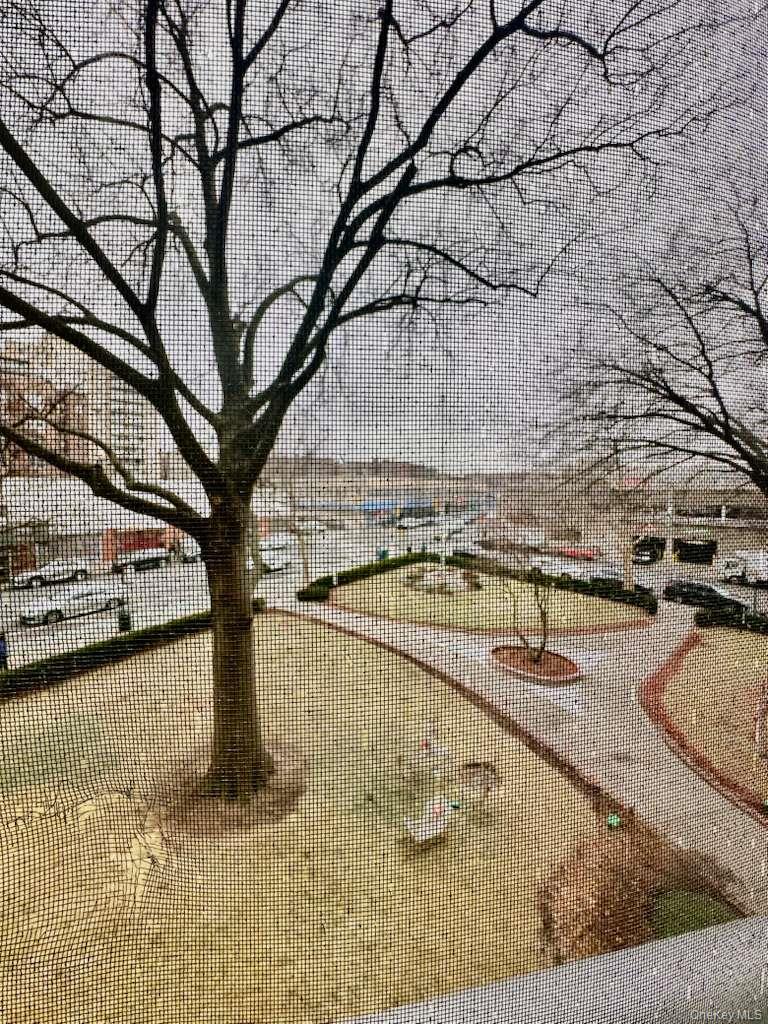 #14 photo, 97-07 63 Road, Rego Park , NY 11374