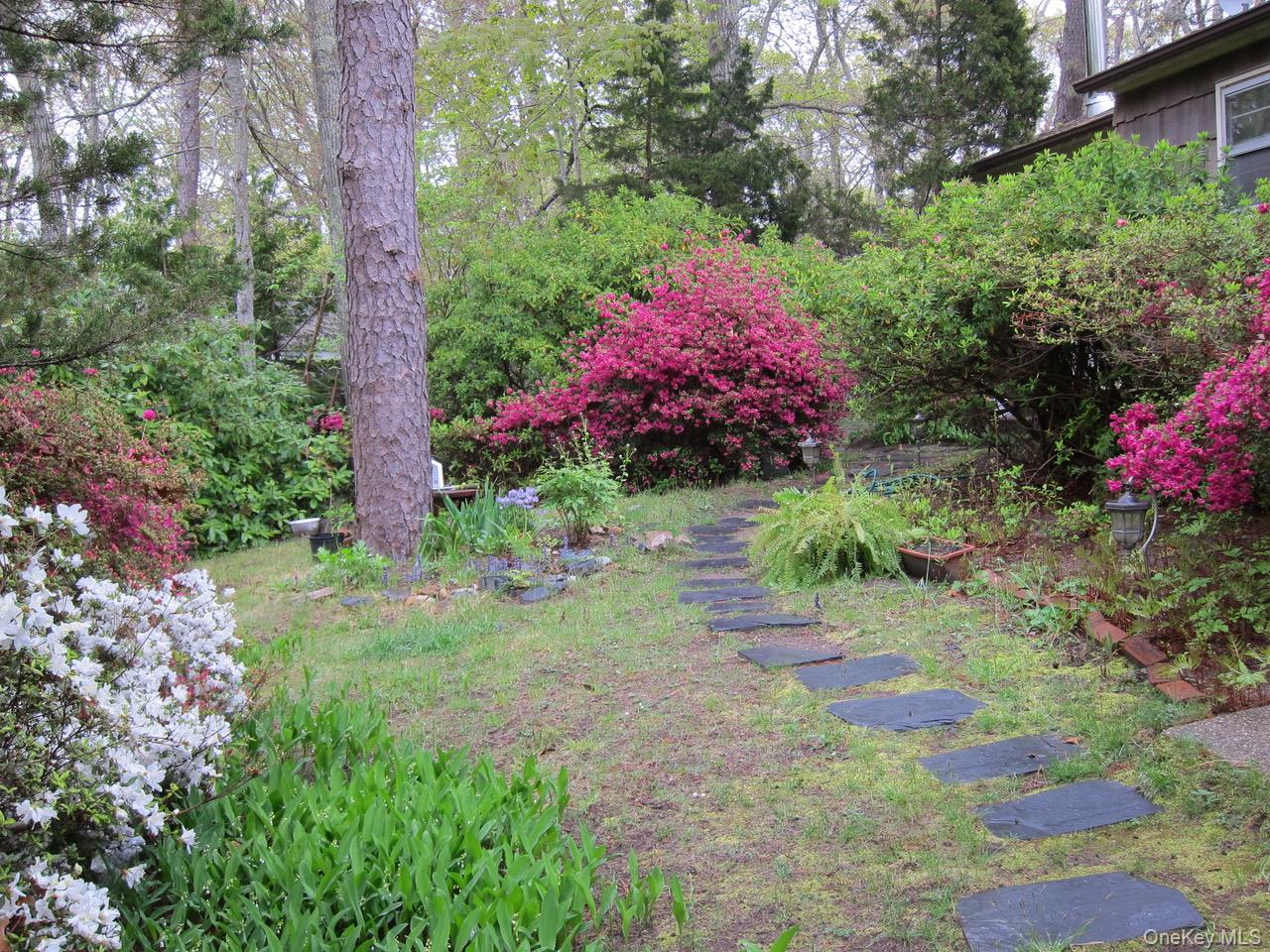 #10 photo, 42 Bittersweet, Hampton Bays , NY 11946