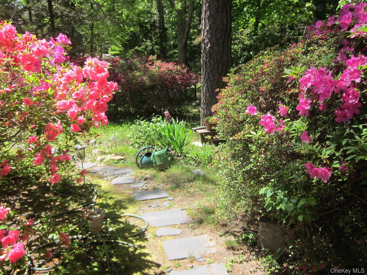 #12 photo, 42 Bittersweet, Hampton Bays , NY 11946