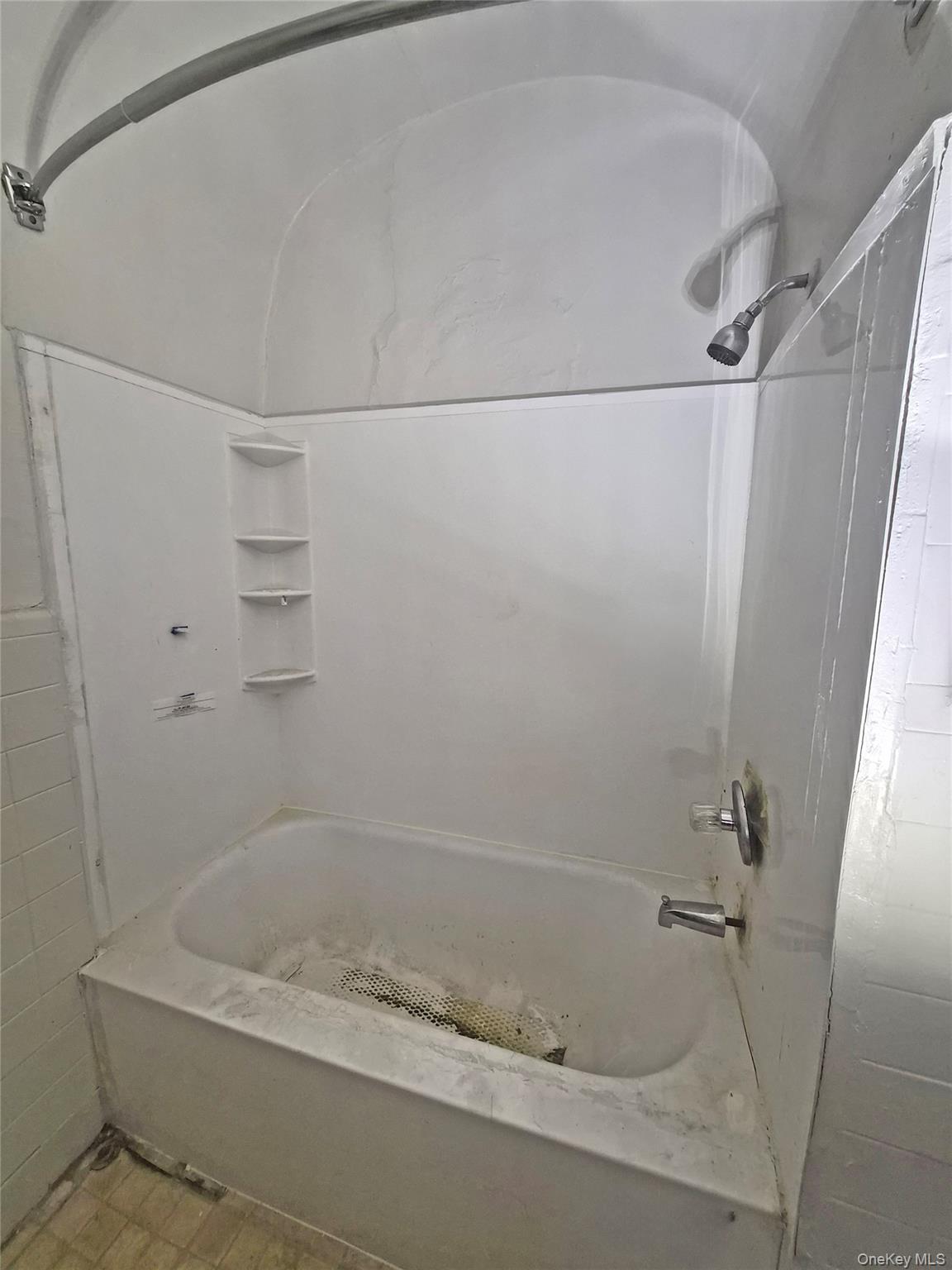 #6 photo, 411 Winthrop Street, הברונקס Brooklyn , NY 11203